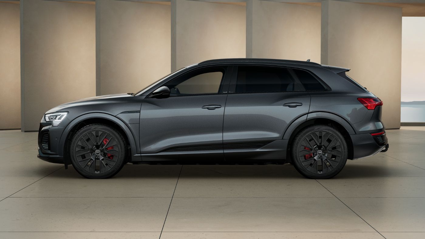 Q8 e-tron  55  quattro AHK Pano S line 3xKlima