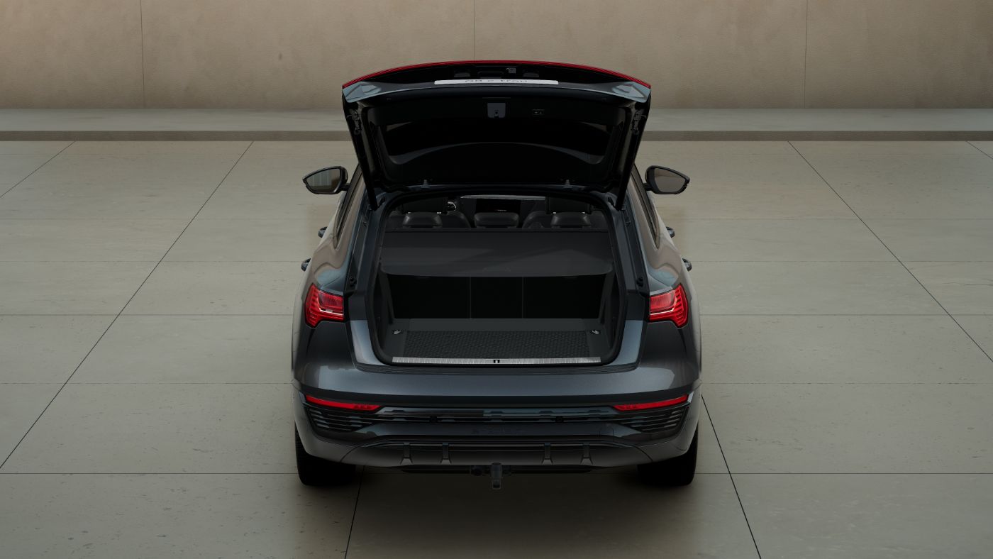 Q8 e-tron  55  quattro AHK Pano S line 3xKlima