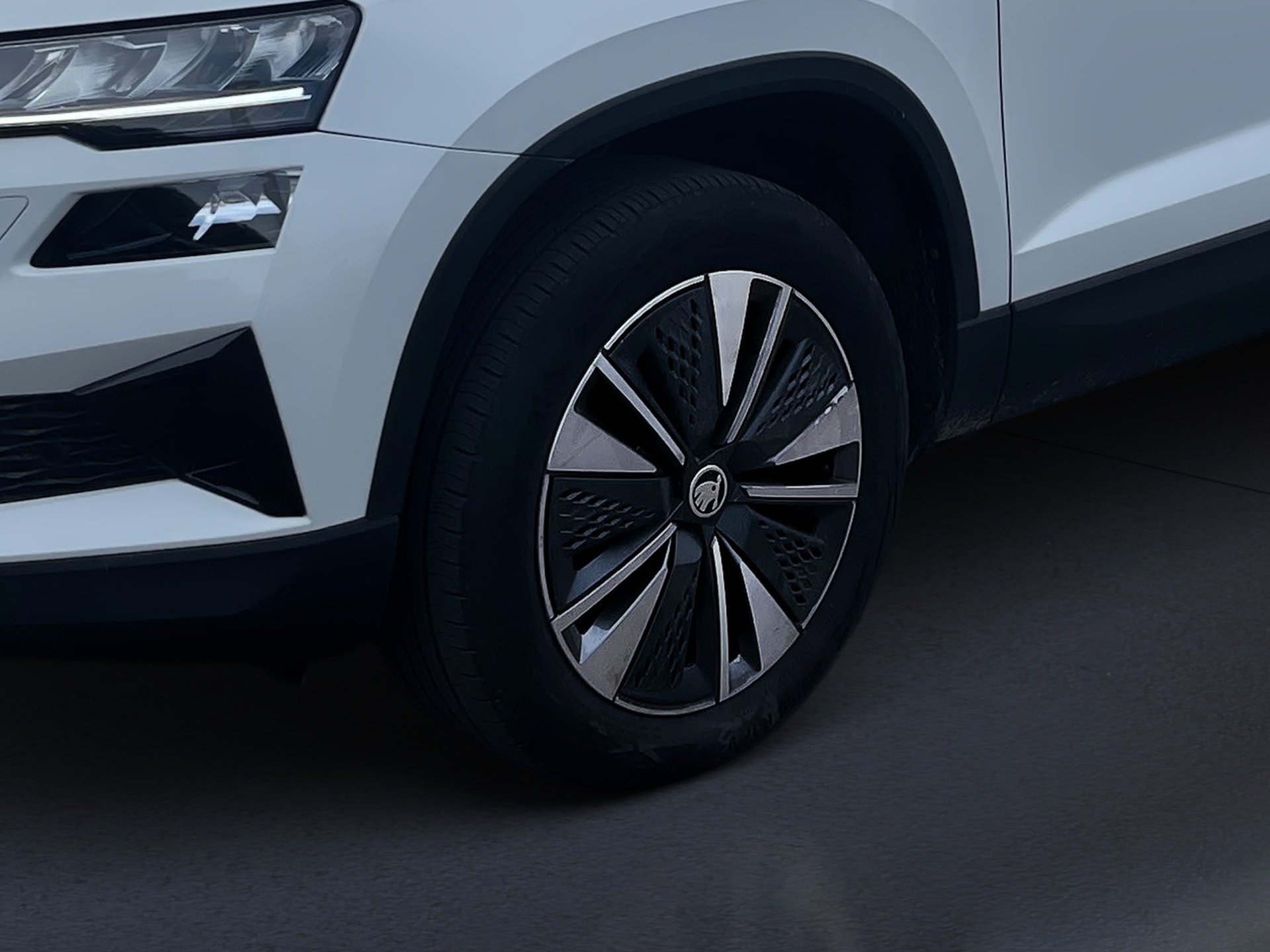 Karoq AMBITION TSI+ALU 17+RÜCKFAHRKAMERA+ACC+AHK+SPRACHSTEUERUNG+LED