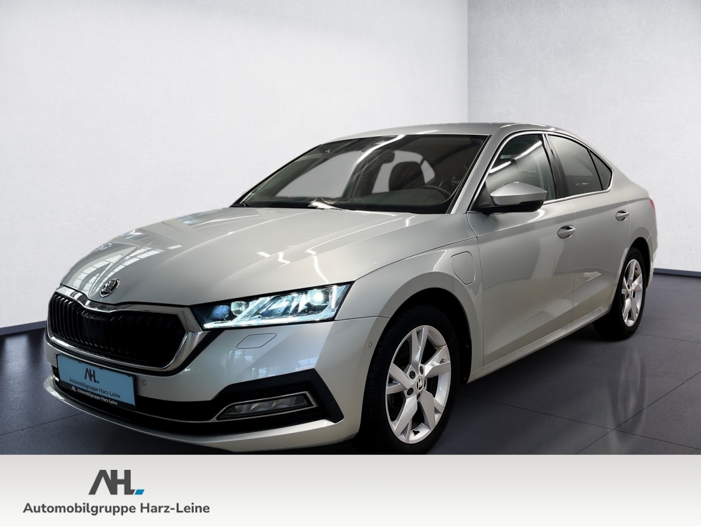 Octavia STYLE iV TSI DSG+ALU 18+R&Uuml;CKFAHRKAMERA+ELK SIT...