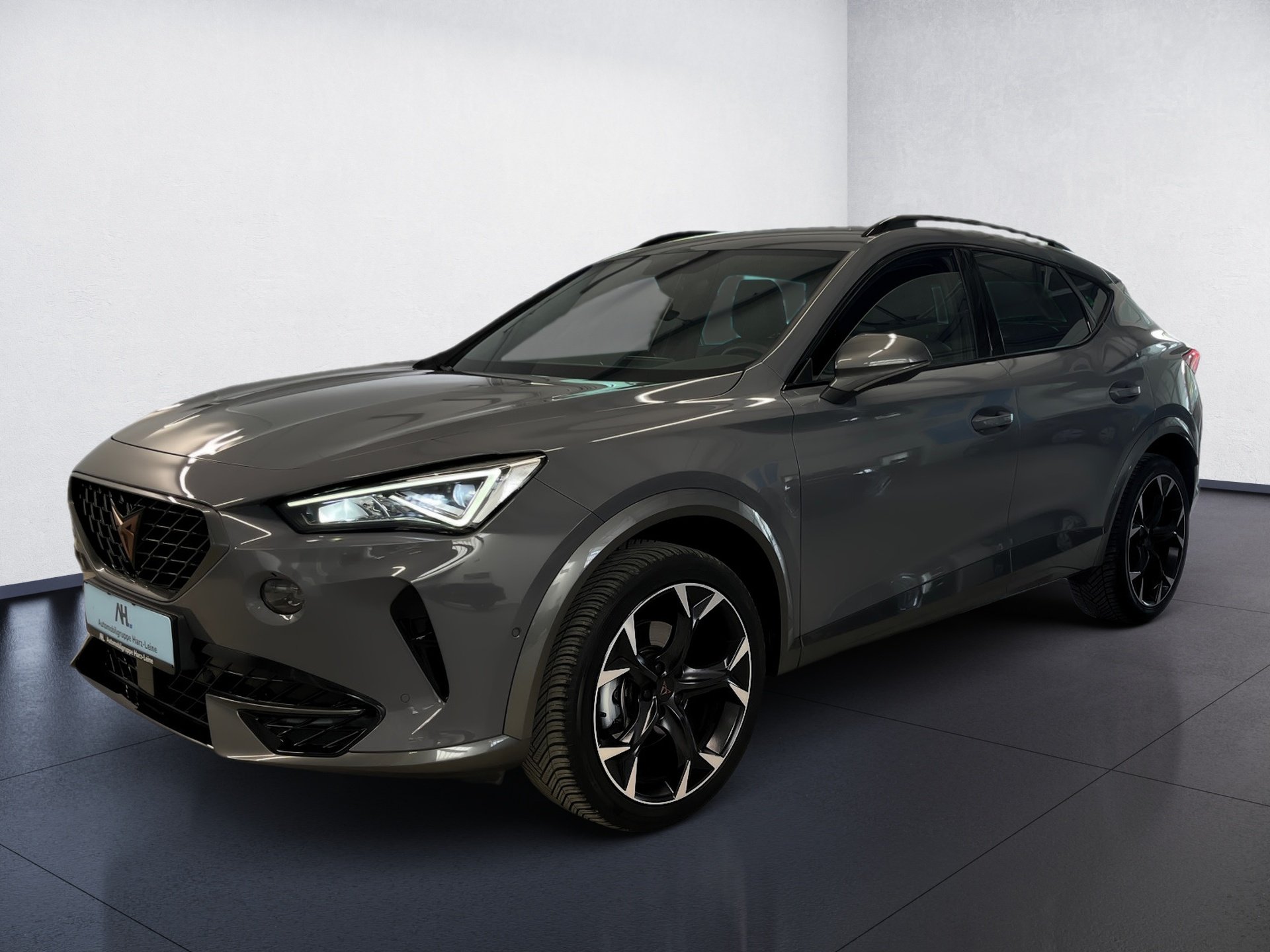 Formentor TSI DSG+ALU 19+AHK+NAVI+LED+RÜCKFAHRKAMERA+FULL LINK+KLIMA+PARK ASSIST