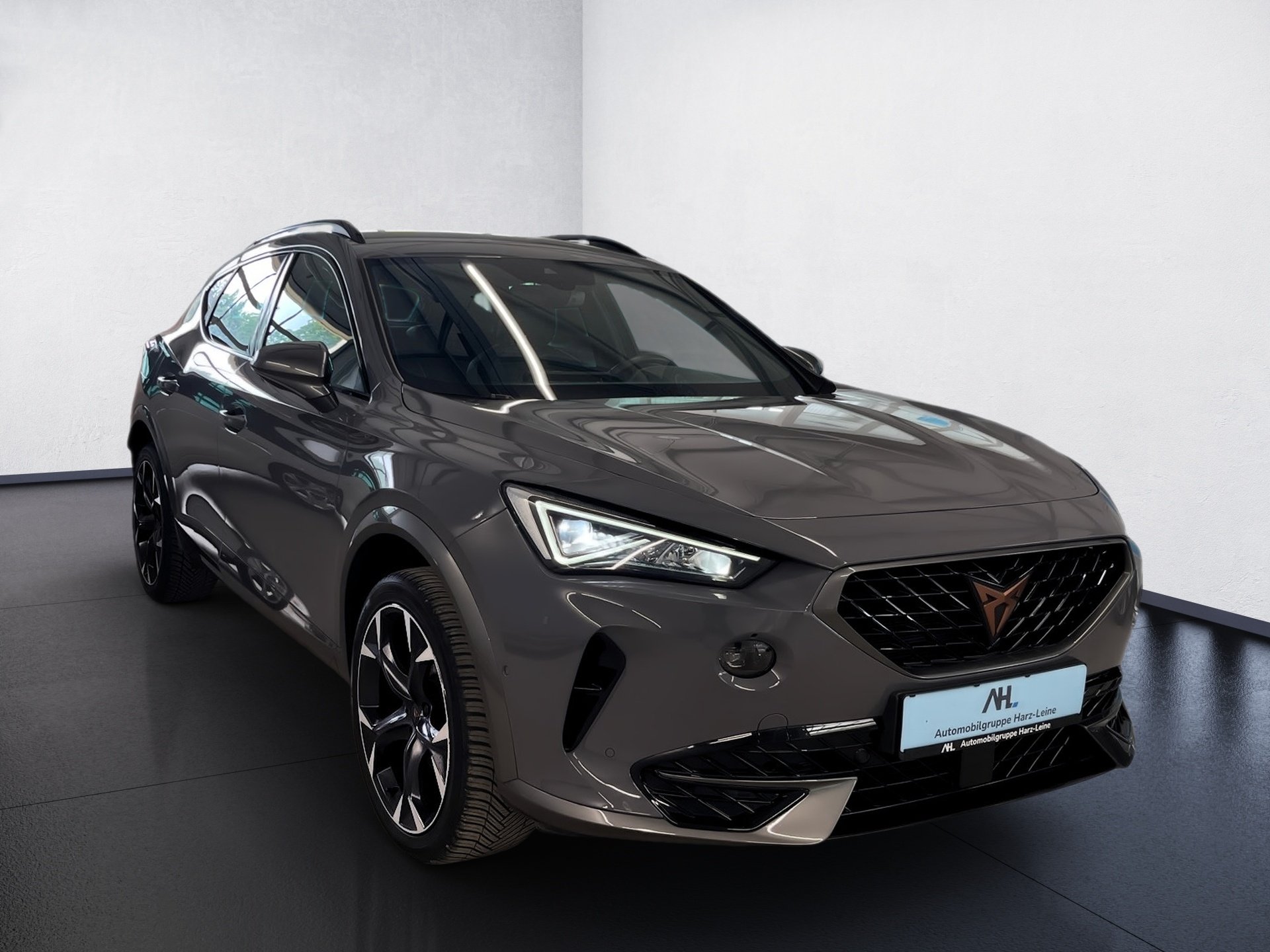 Formentor TSI DSG+ALU 19+AHK+NAVI+LED+RÜCKFAHRKAMERA+FULL LINK+KLIMA+PARK ASSIST