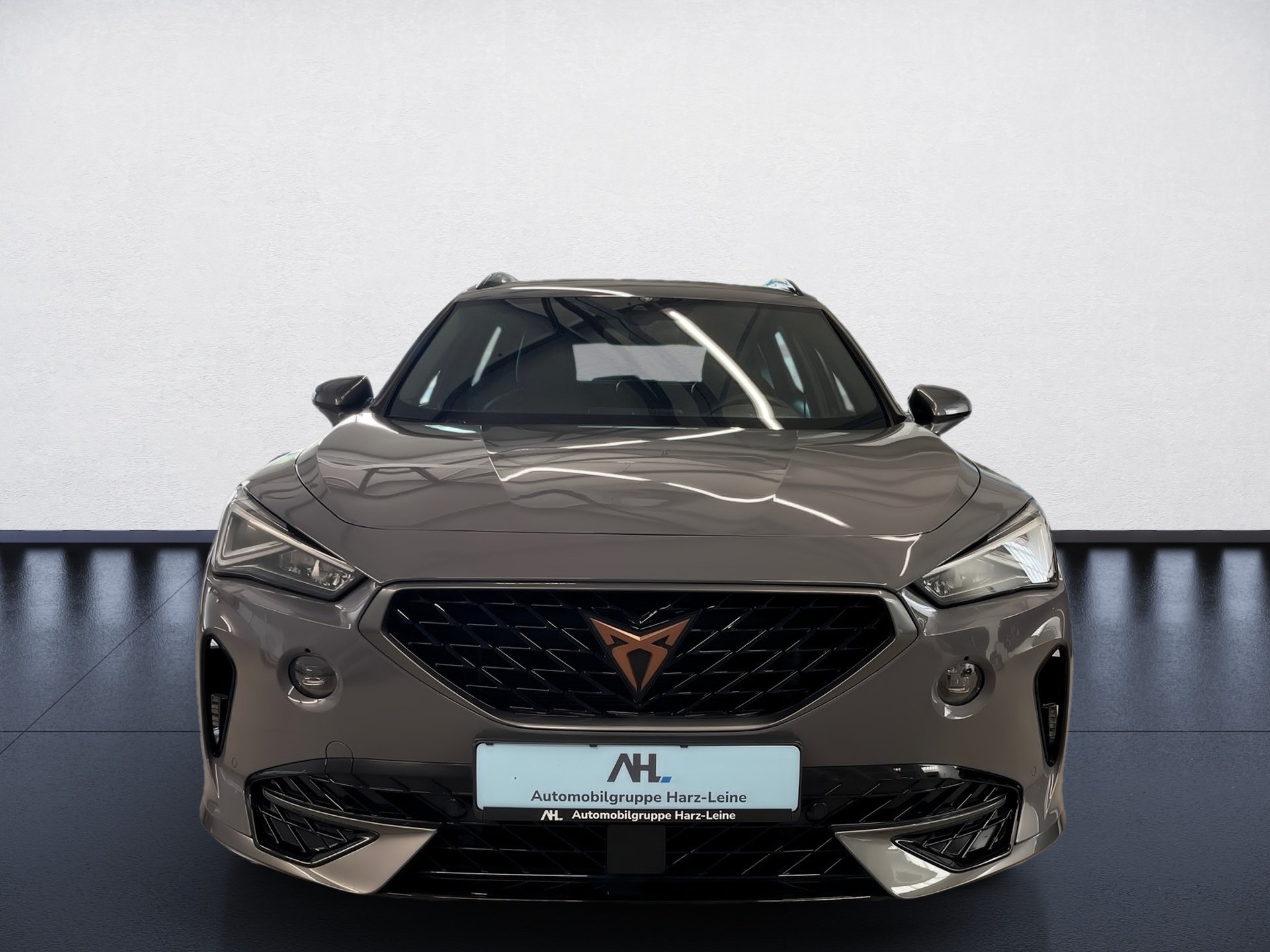 Formentor TSI DSG+ALU 19+AHK+NAVI+LED+RÜCKFAHRKAMERA+FULL LINK+KLIMA+PARK ASSIST