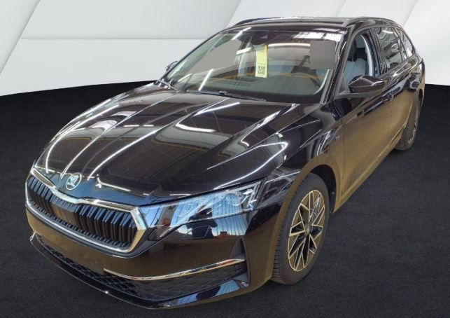 Octavia Combi 2.0 TDI Tour DSG Stand.hz. AHK Navi LED