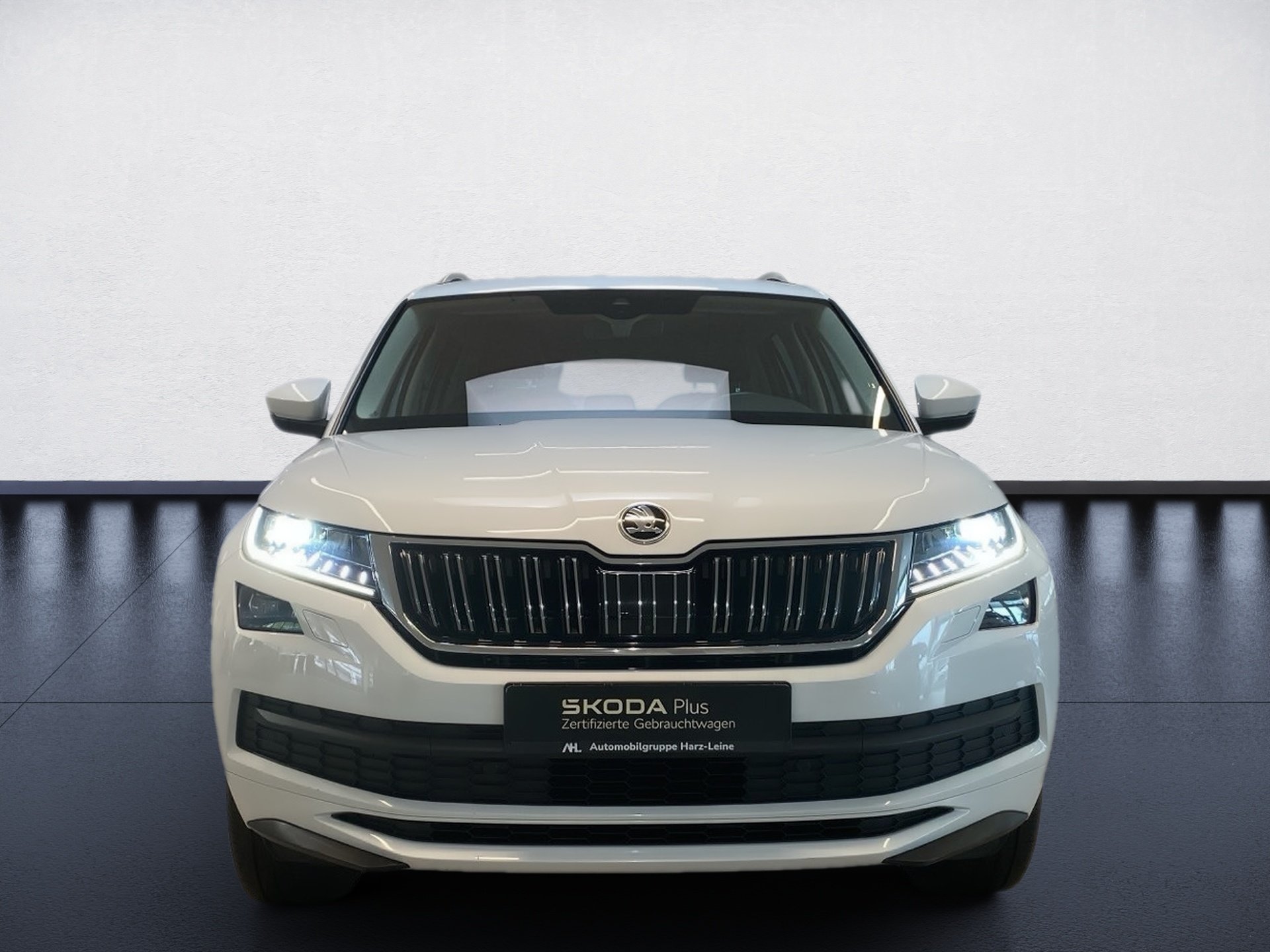Kodiaq 2.0 TSI L&K 4x4 Stand.hz. Pano. RFK LED