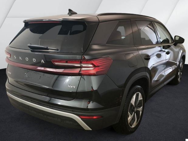 Kodiaq 2.0 TDI Selection 4x4 DSG AHK RFK Navi LED