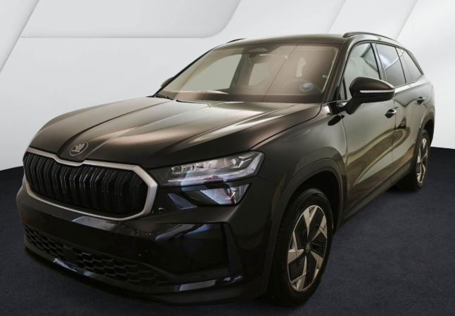 Kodiaq 2.0 TDI Selection 4x4 DSG AHK RFK Navi LED