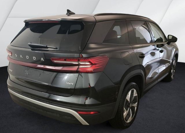 Kodiaq 2.0 TDI Selection 4x4 DSG AHK RFK Navi LED