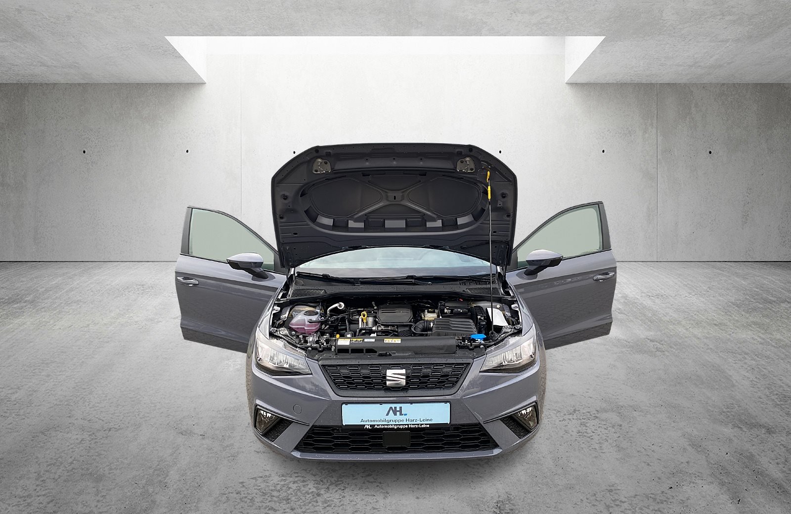 Ibiza 1.0 Reference SHZ/PDC/SMARTLINK/KLIMA/DAB