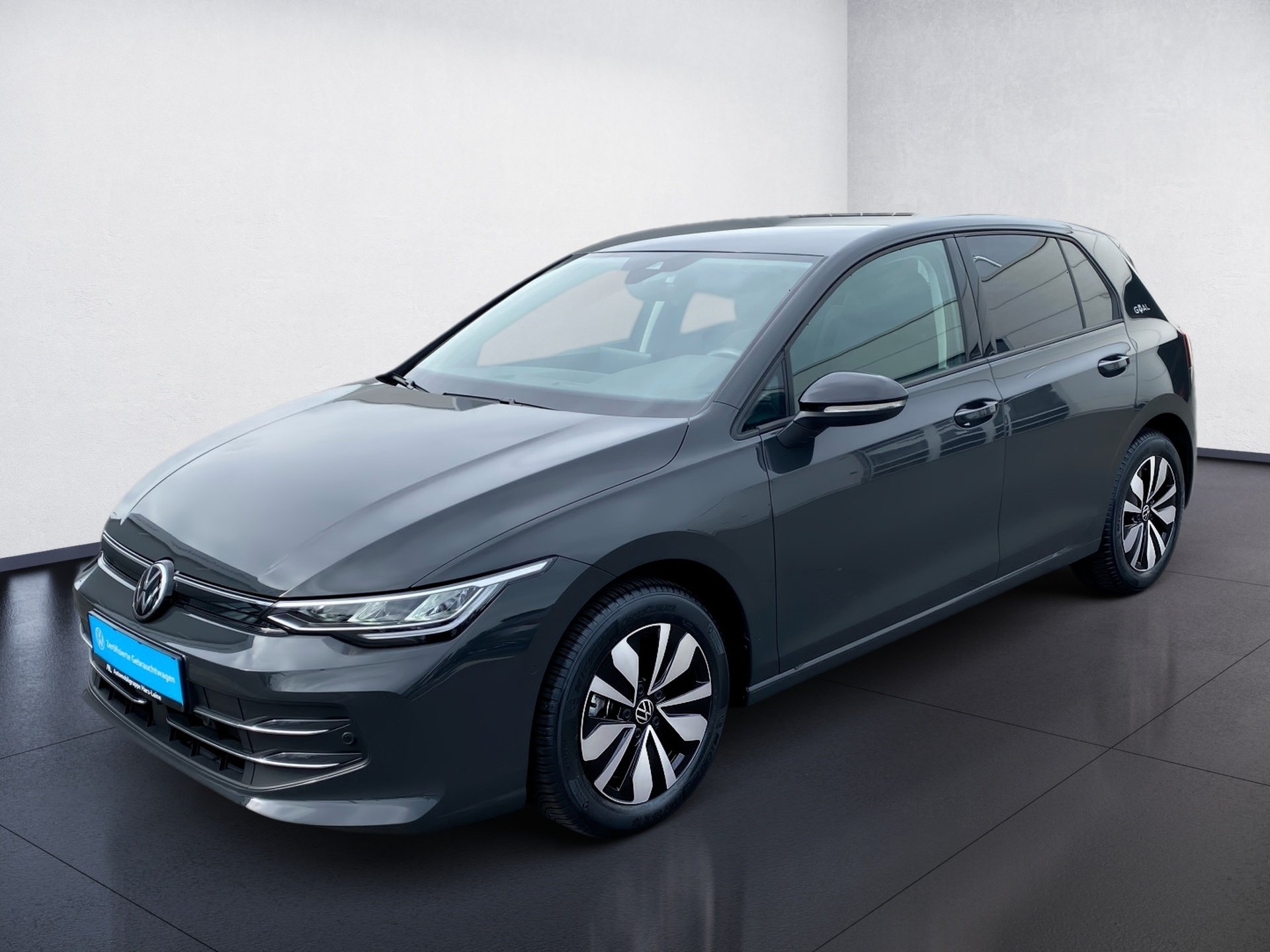 Golf VIII 1.5 TSI Goal LED Navi ACC RFK ACC Kam.