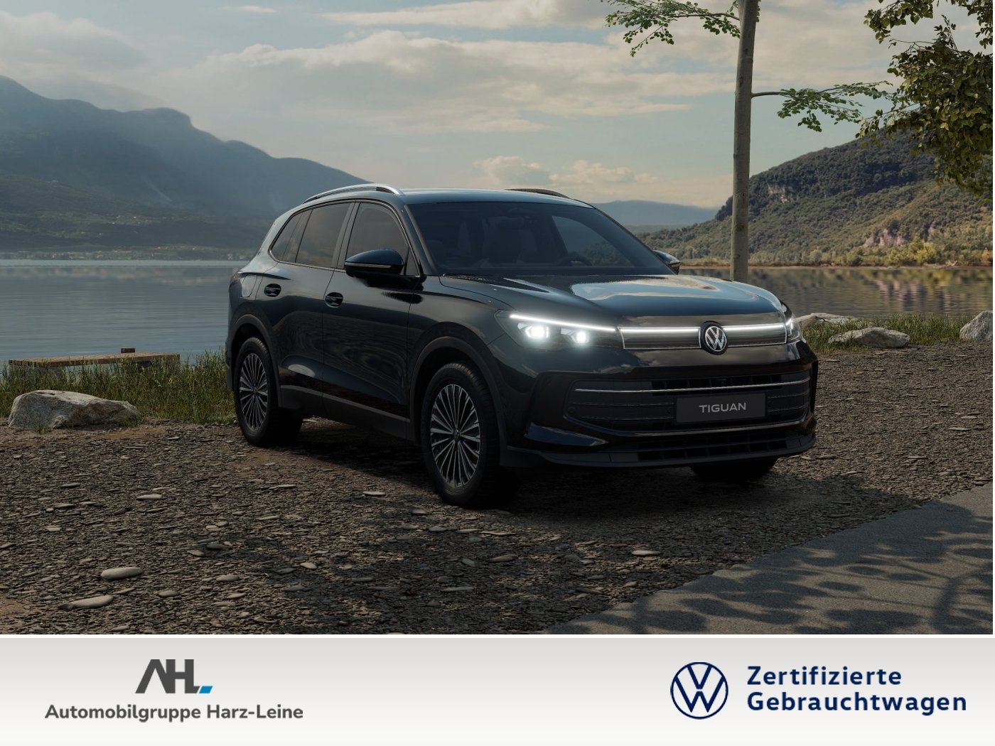 Tiguan 2.0 TDI GOAL DSG HD-Matrix AHK Navi ACC HuD