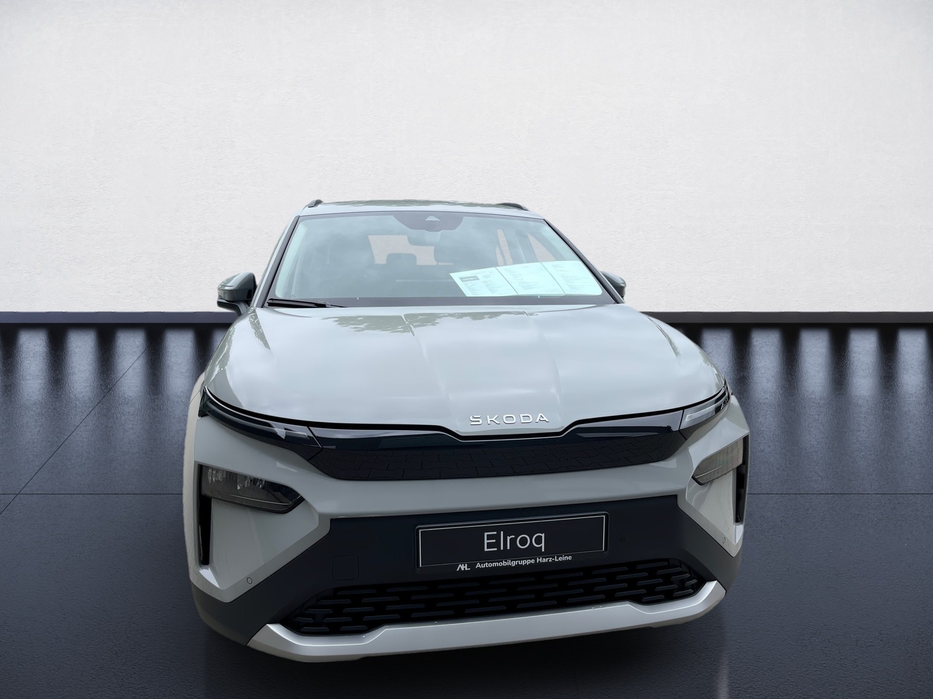 Elroq 50 Tour Studio LED Navi PDC RFK SHZ AUT