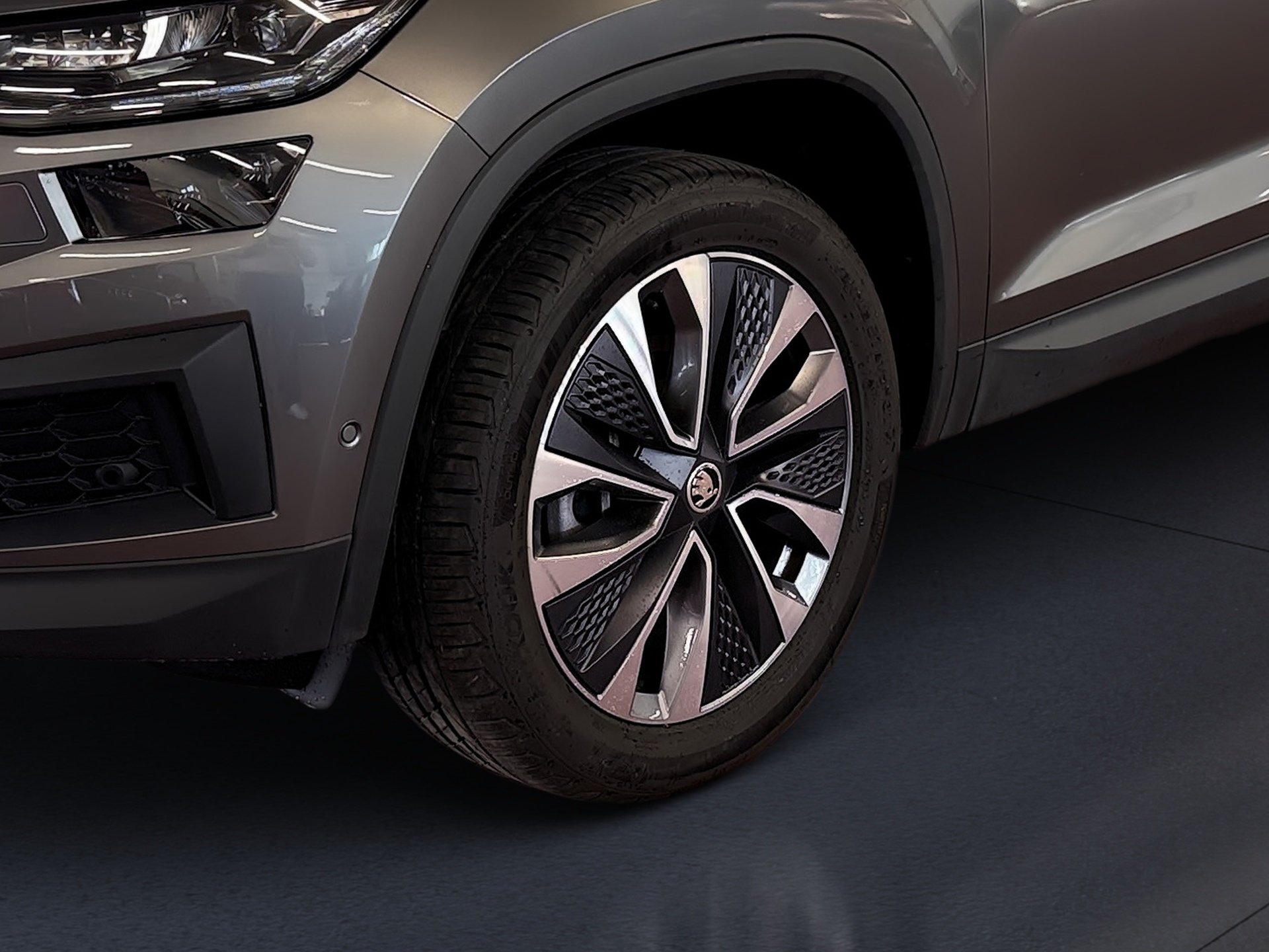 Kodiaq 2.0 TDI Tour DSG LED Navi RFK ACC