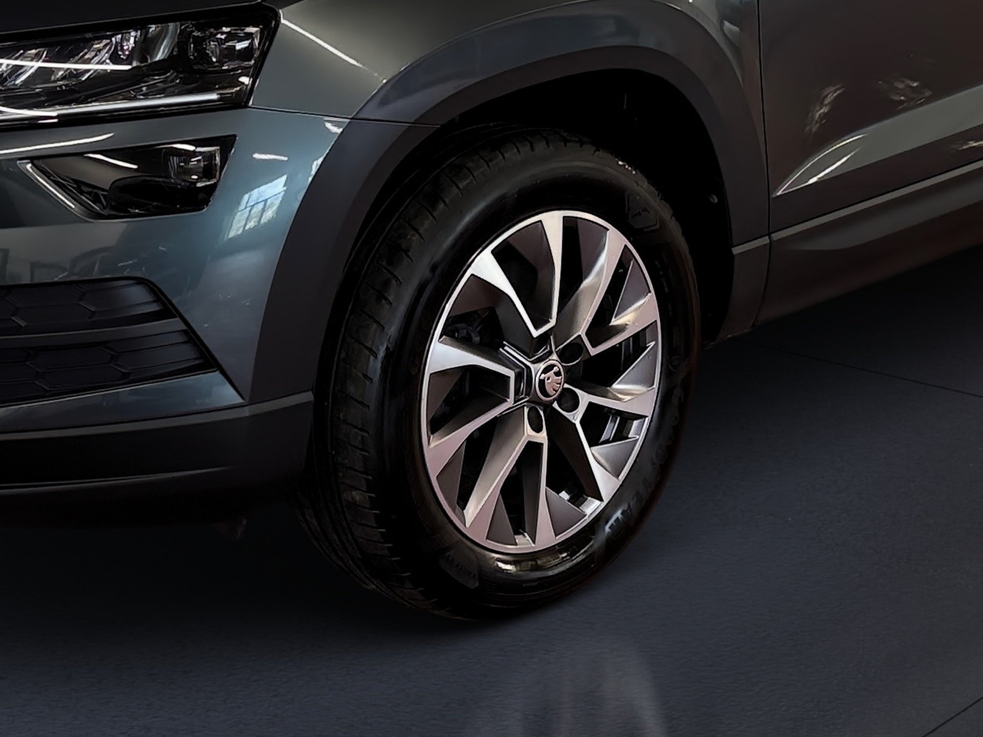 Karoq 2.0 TDI Clever 4x4 DSG LED Navi RFK SHZ
