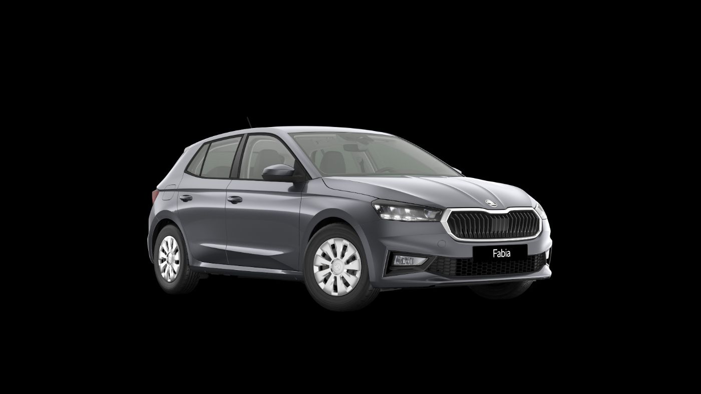 Fabia 1.0 TSI Tour LED PDC GRA RFK SmartLink LED