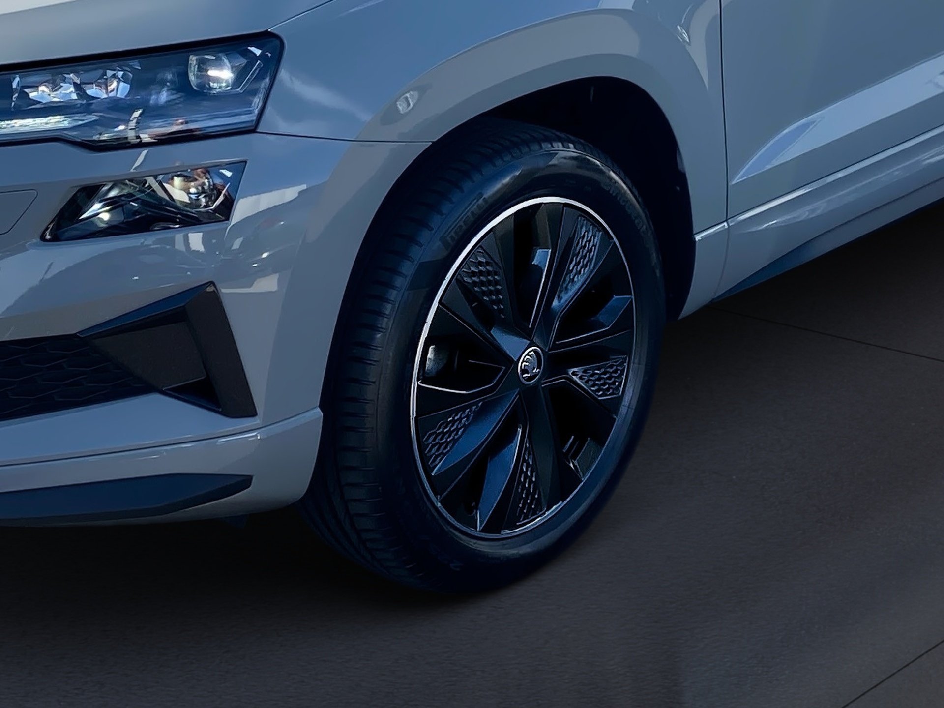 Karoq 2.0 TSI Sportline 4x4 DSG Sport-Paket Matrix