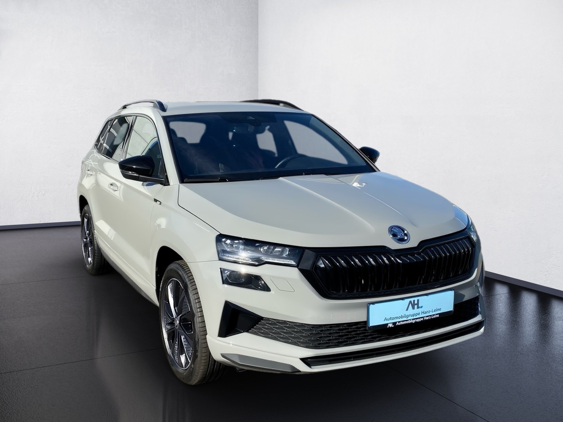 Karoq 2.0 TSI Sportline 4x4 DSG Sport-Paket Matrix