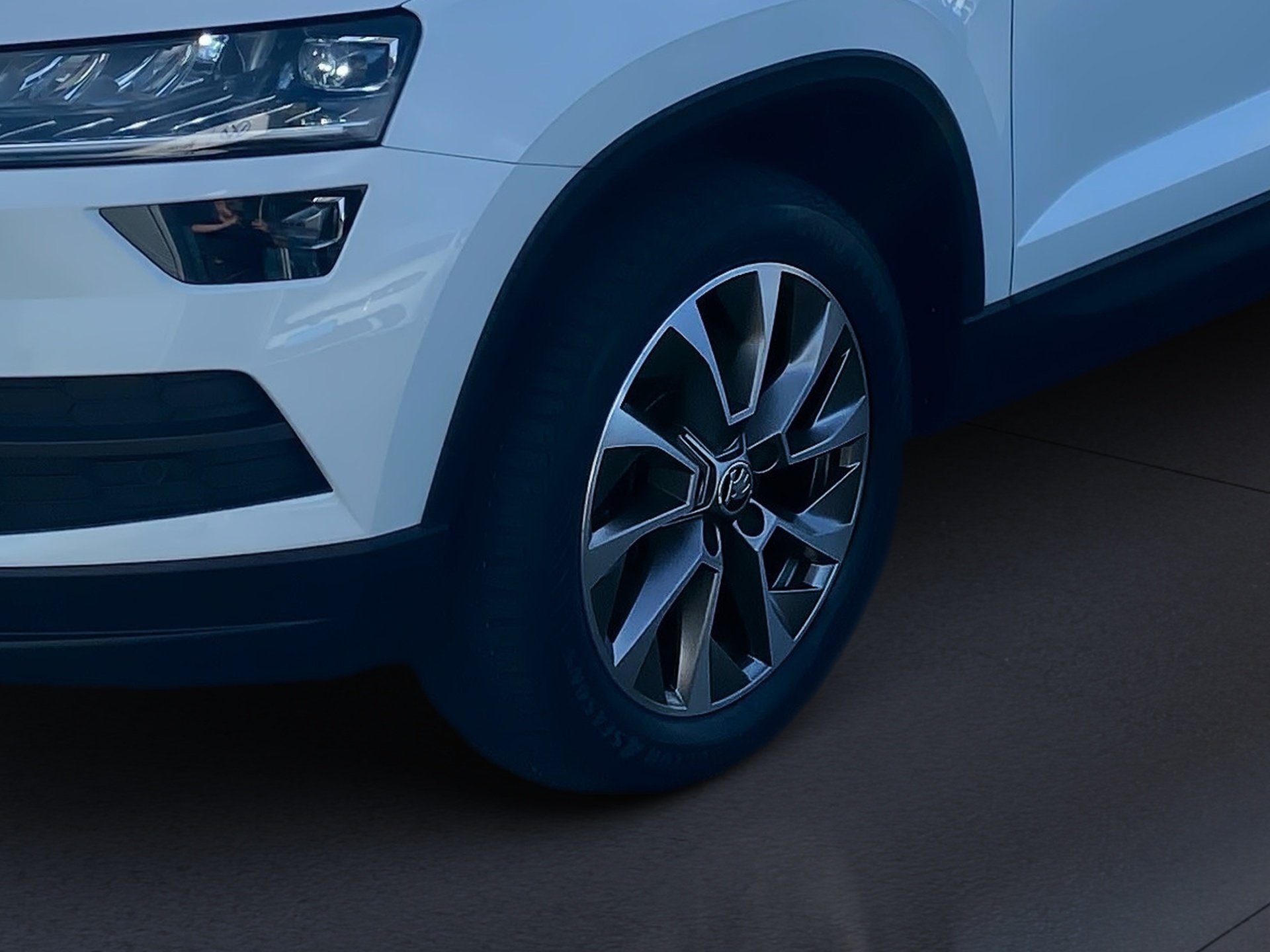 Karoq Ambition 1.5 TSI Clever DSG LED Navi ACC RFK