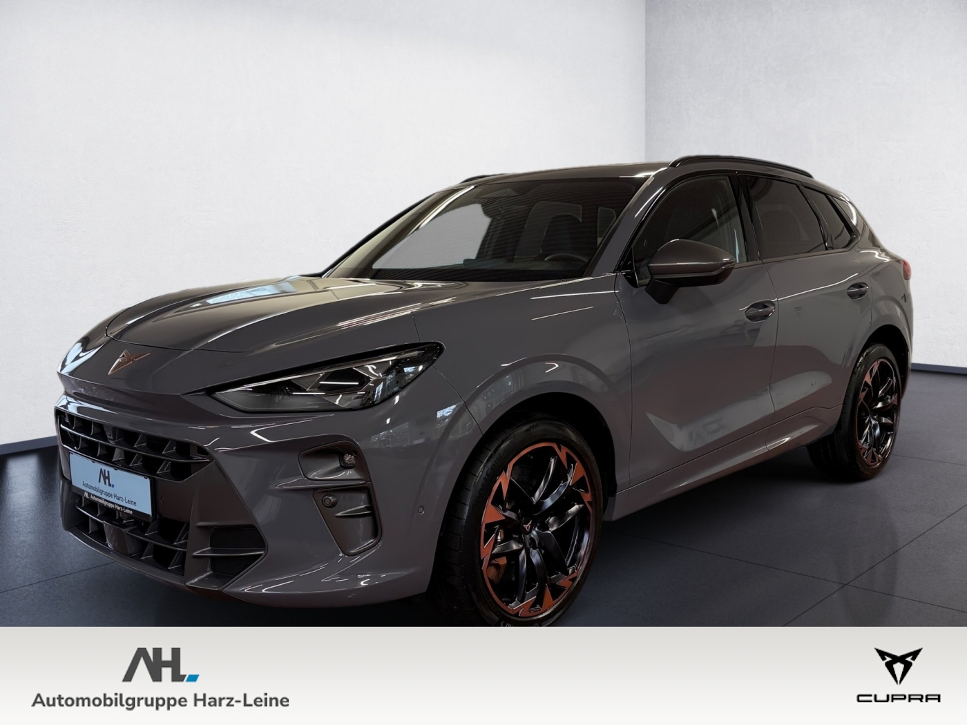 Terramar VZ 2.0 TSI 4Drive DSG Edge HD-Matrix Navi Pano HuD