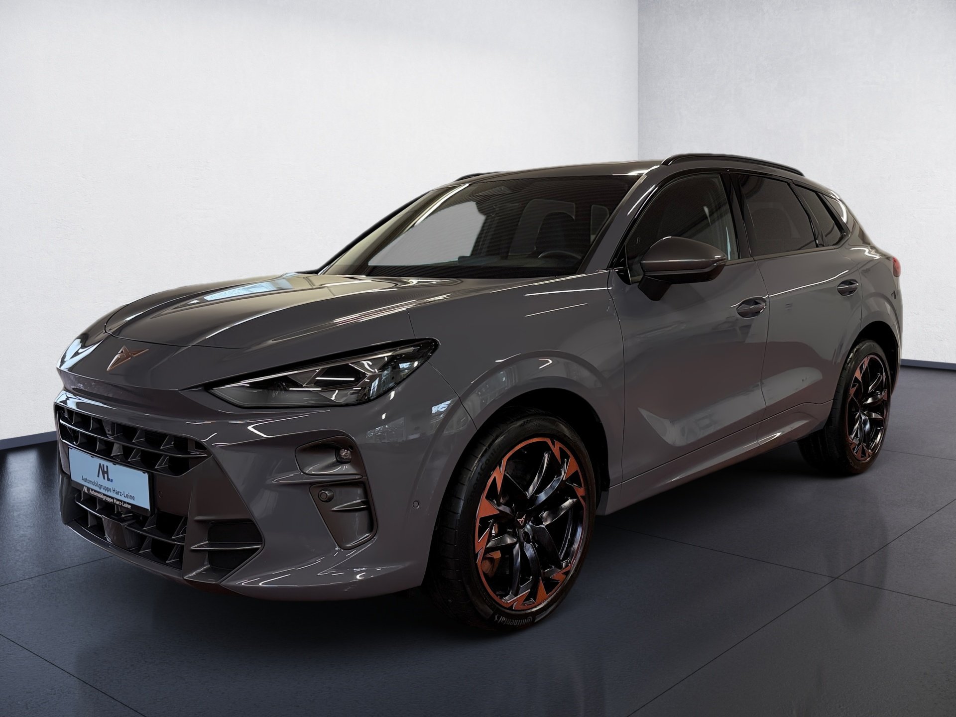 Terramar VZ 2.0 TSI 4Drive DSG Edge HD-Matrix Navi Pano HuD