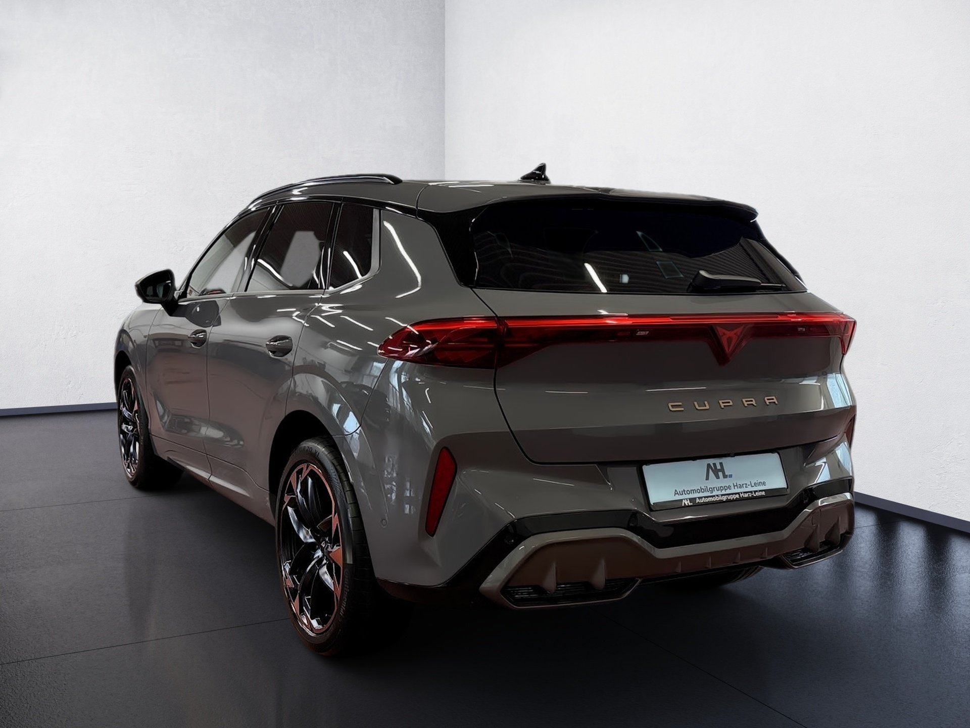 Terramar VZ 2.0 TSI 4Drive DSG Edge HD-Matrix Navi Pano HuD