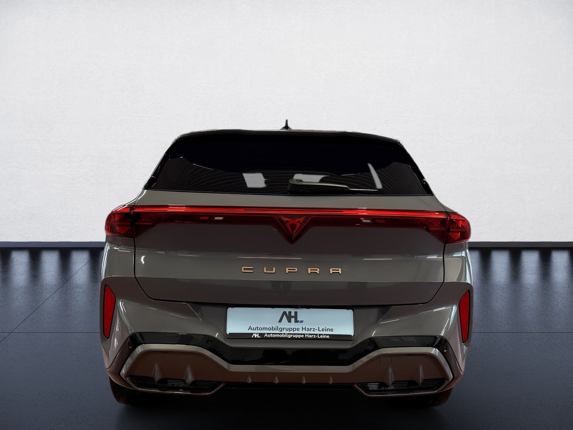 Terramar VZ 2.0 TSI 4Drive DSG Edge HD-Matrix Navi Pano HuD