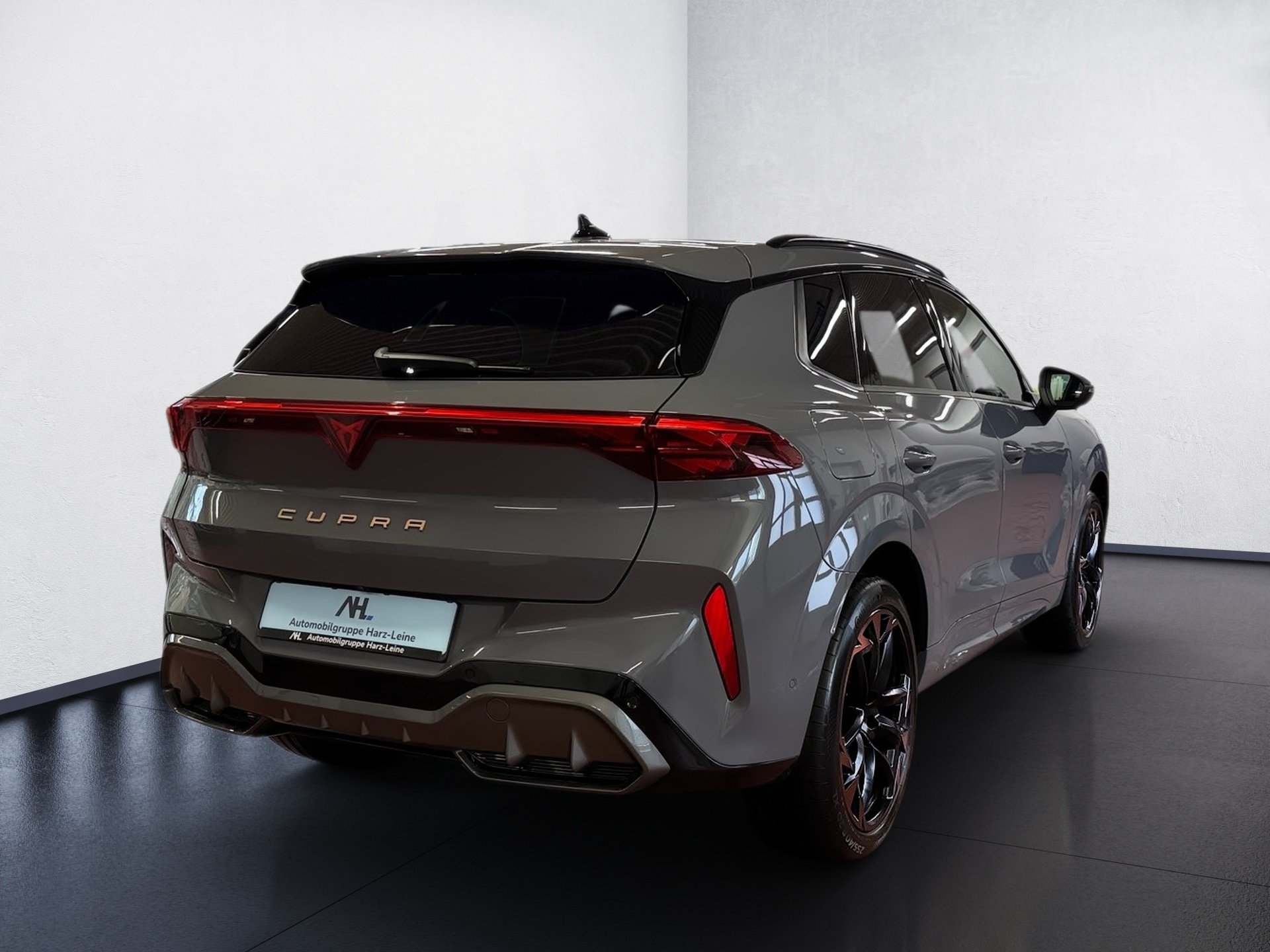 Terramar VZ 2.0 TSI 4Drive DSG Edge HD-Matrix Navi Pano HuD