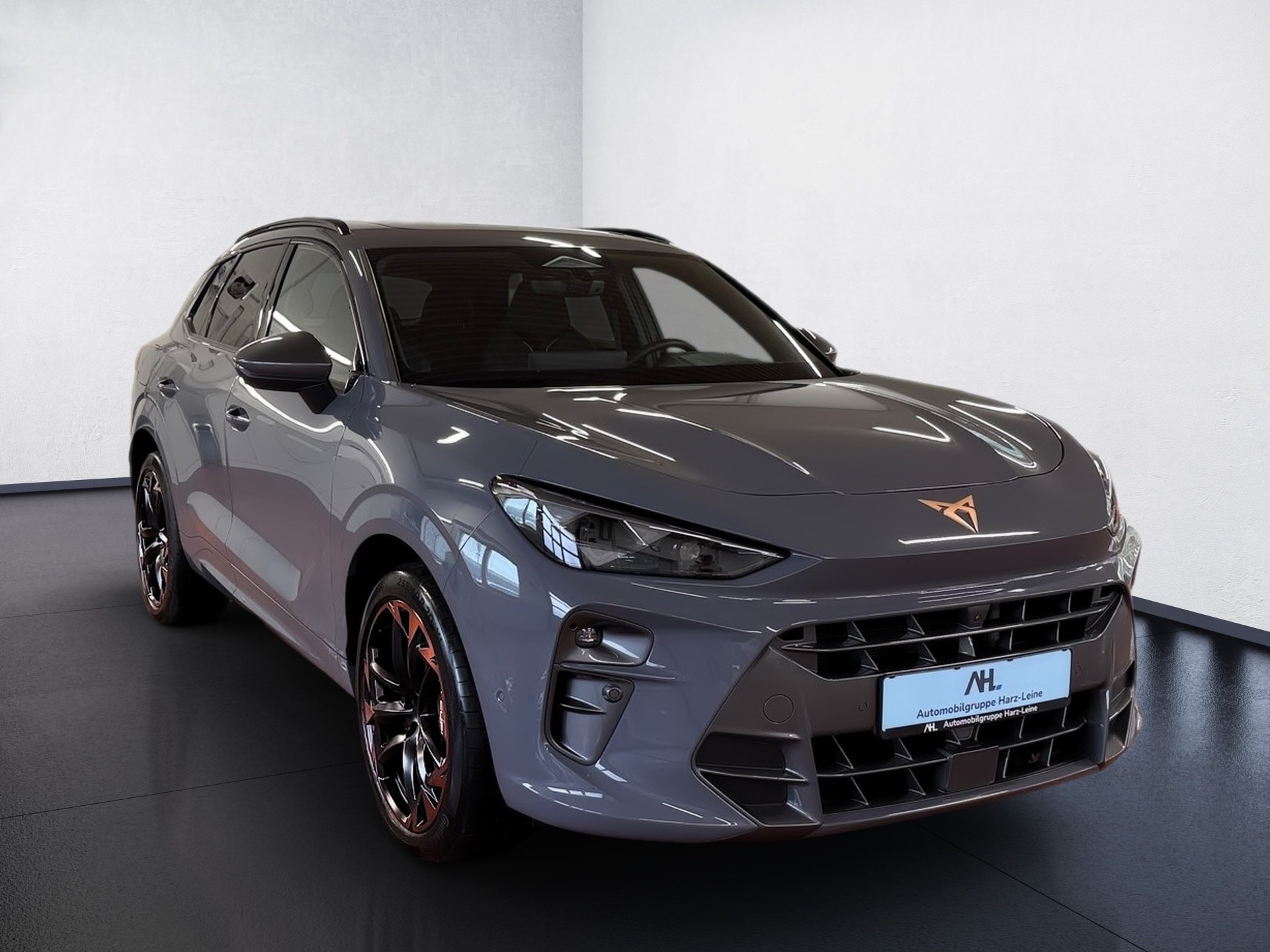 Terramar VZ 2.0 TSI 4Drive DSG Edge HD-Matrix Navi Pano HuD