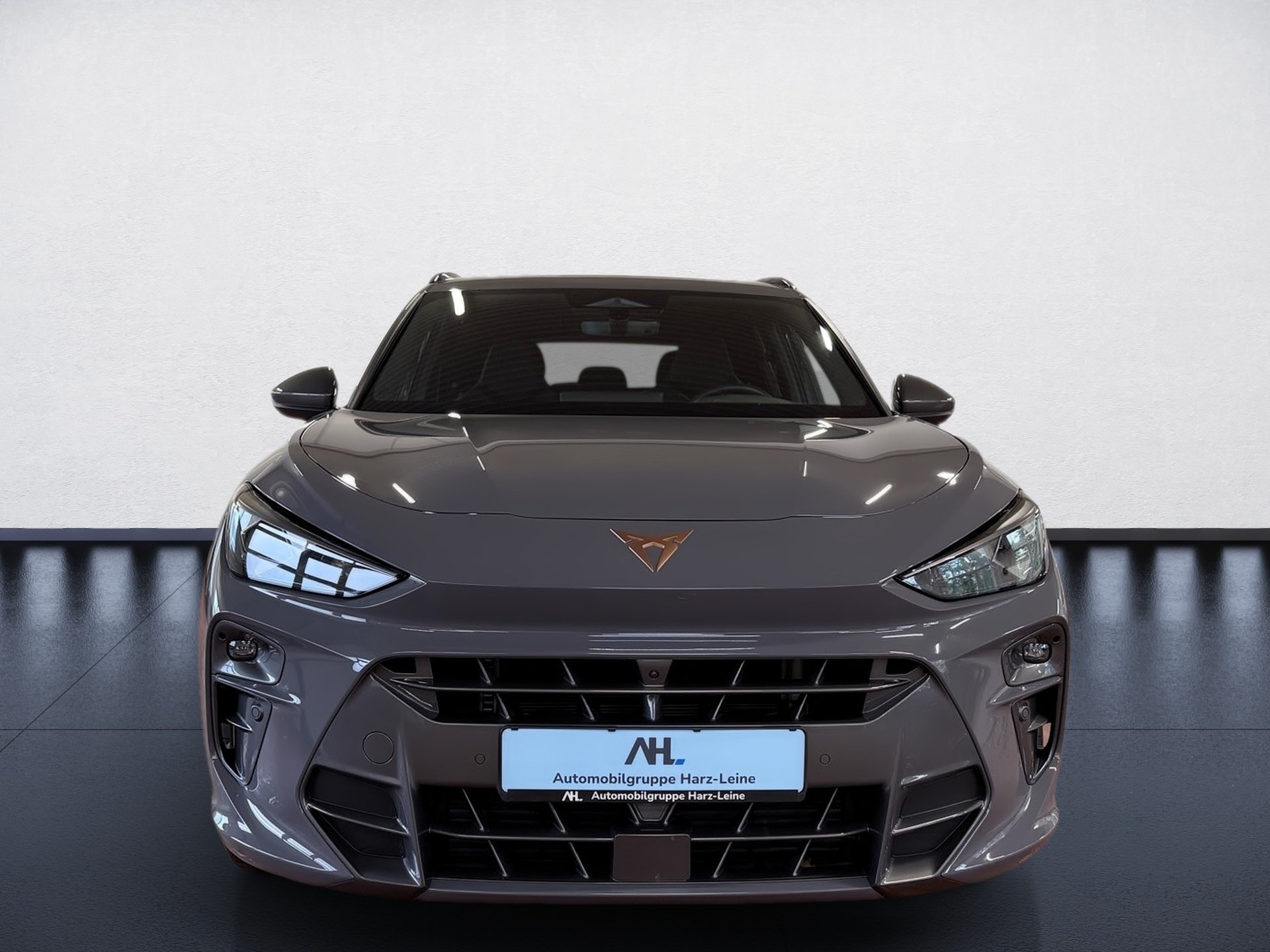 Terramar VZ 2.0 TSI 4Drive DSG Edge HD-Matrix Navi Pano HuD