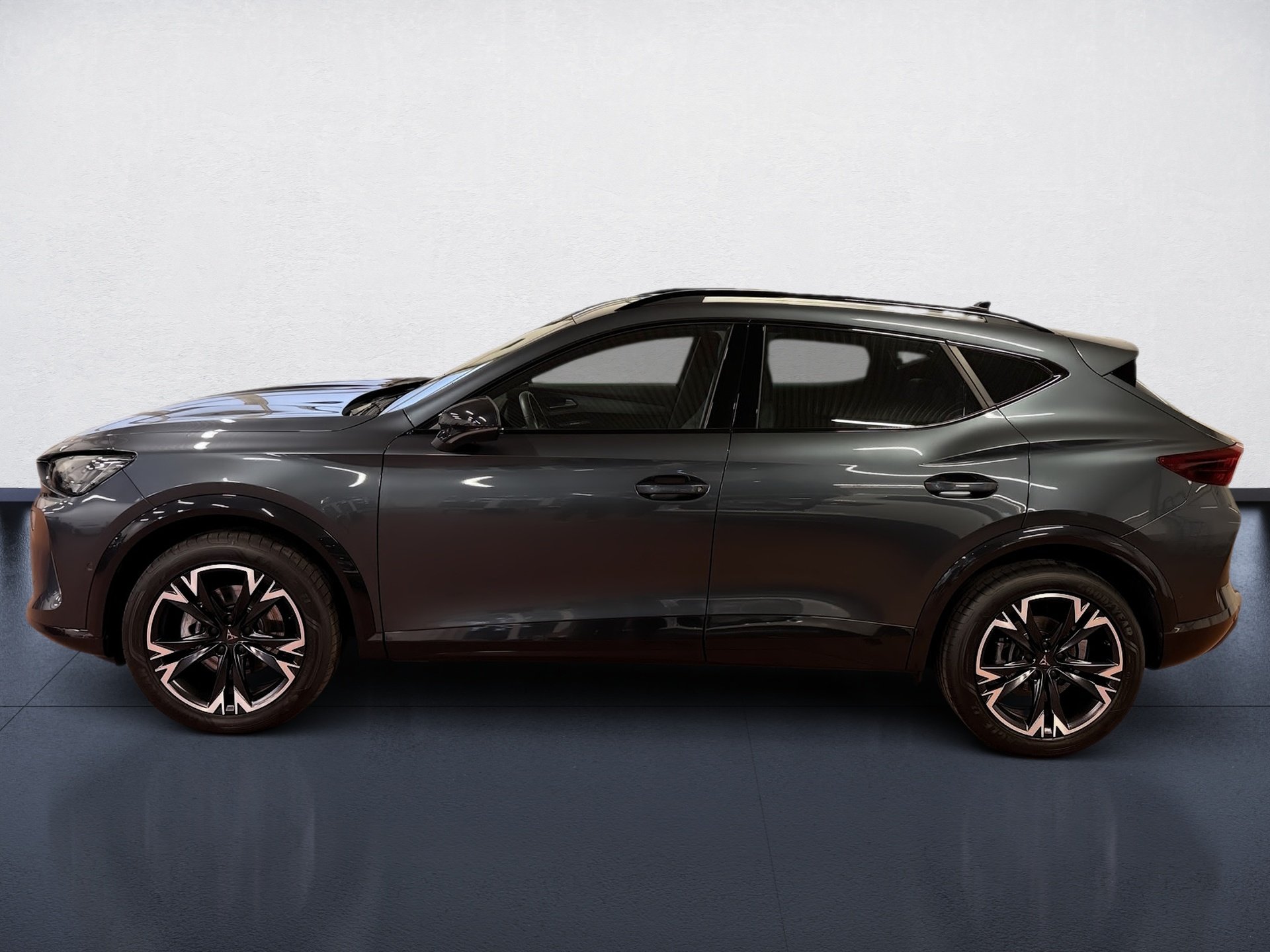 Formentor 2.0 TDI DSG Edge Matrix Navi ACC Pano
