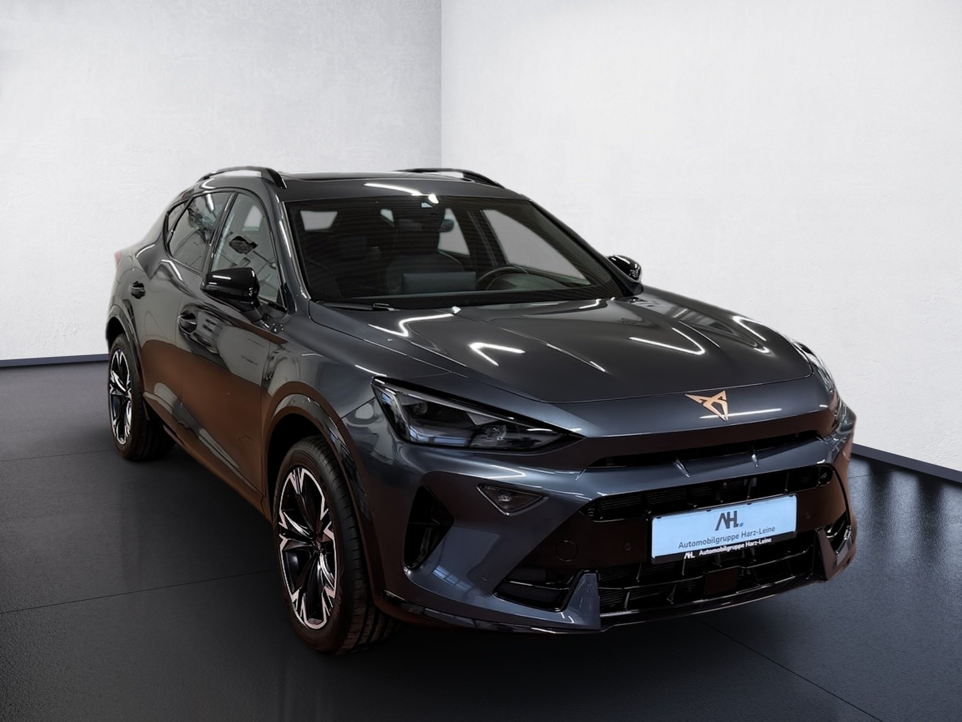 Formentor 2.0 TDI DSG Edge Matrix Navi ACC Pano