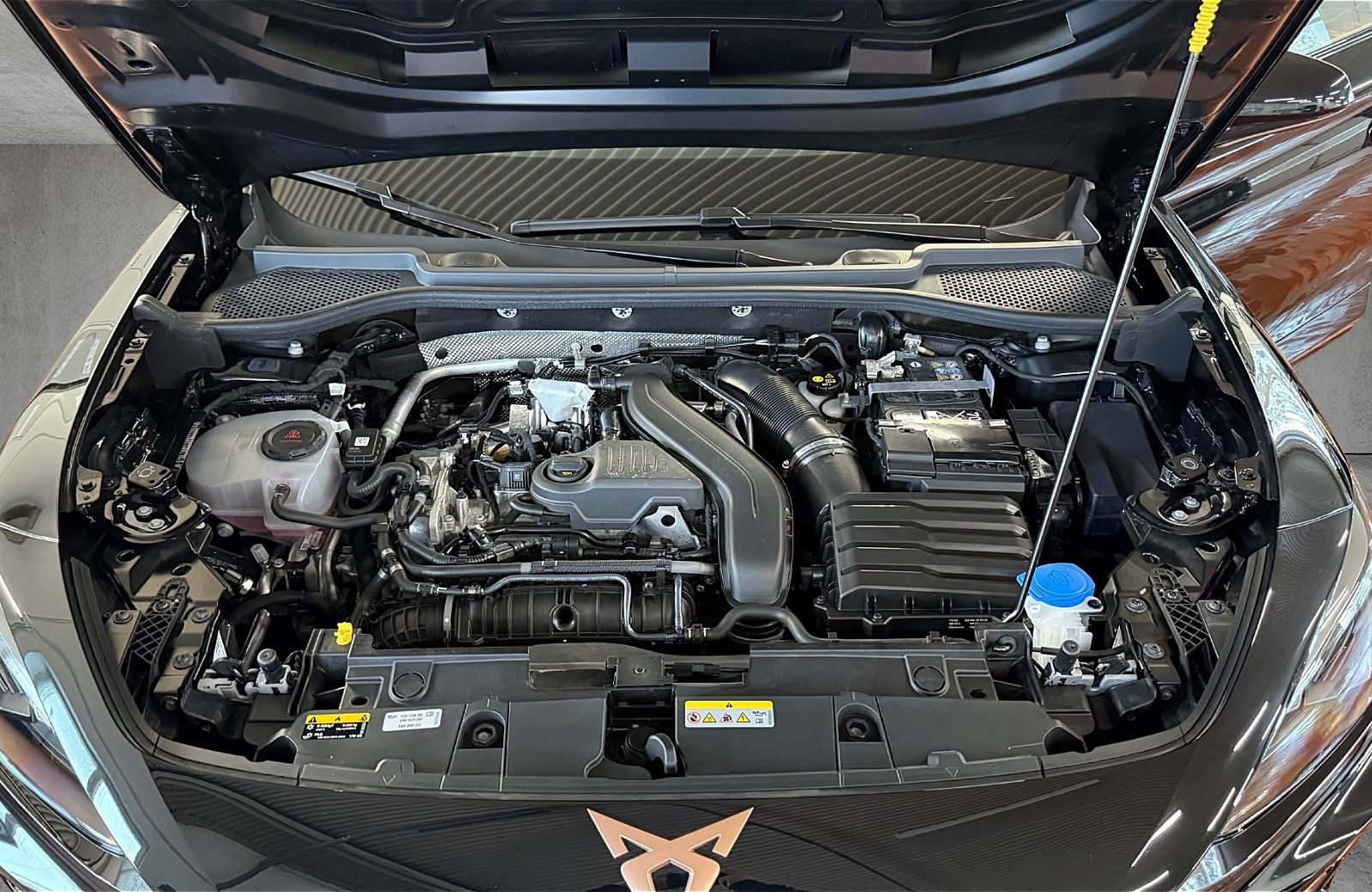 Formentor 1.5 eTSI DSG LED Navi ACC RFK ACC AUT