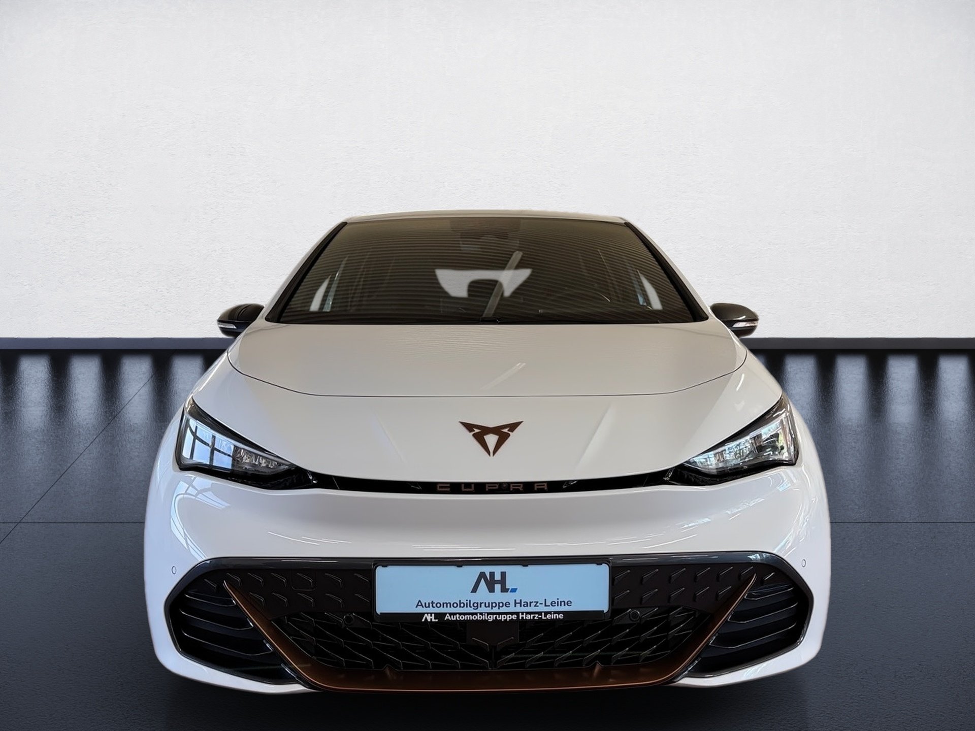 Born e-Boost Wärmepumpe HuD Navi ACC Keyless LED RFK