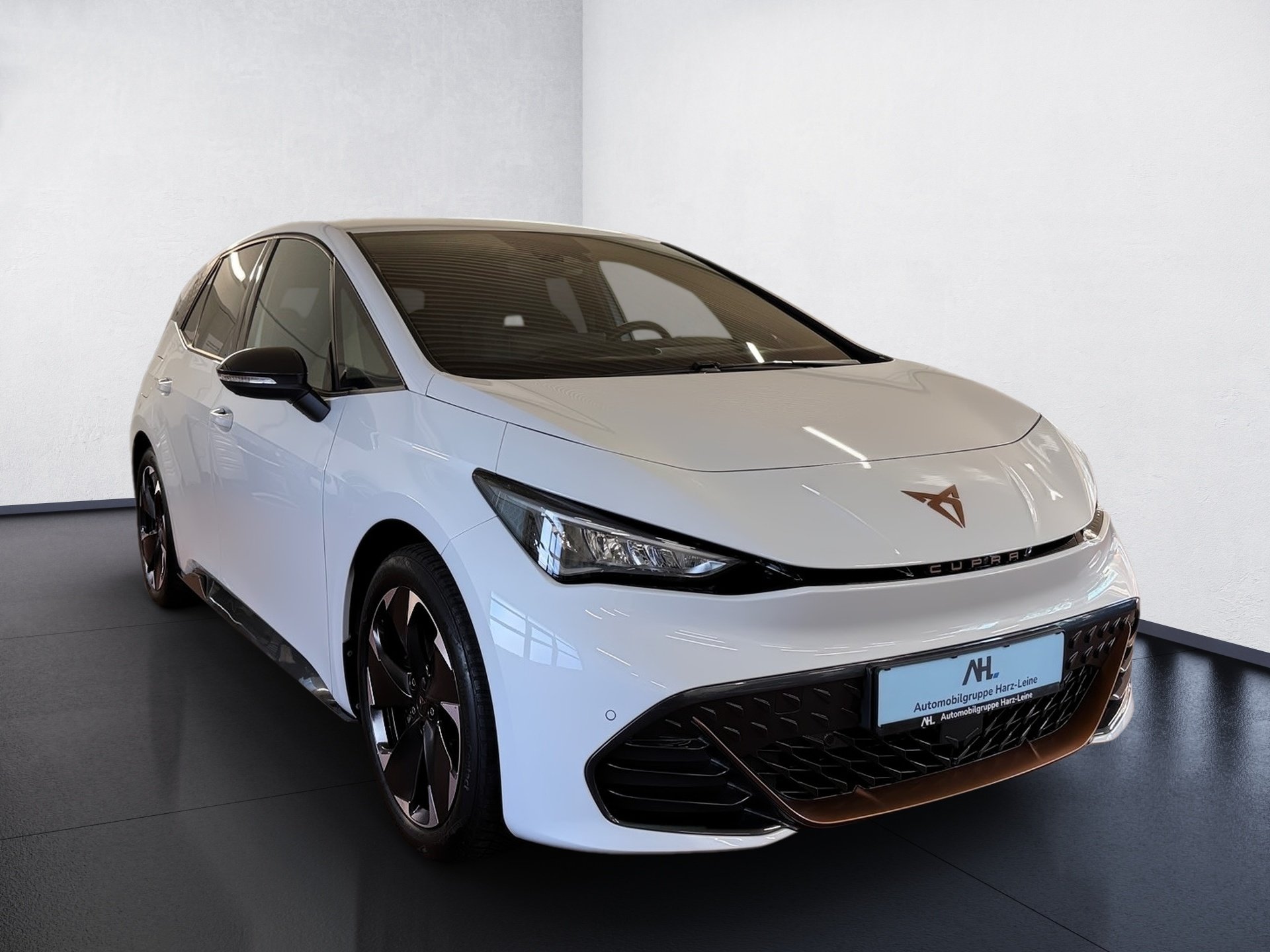 Born e-Boost Wärmepumpe HuD Navi ACC Keyless LED RFK
