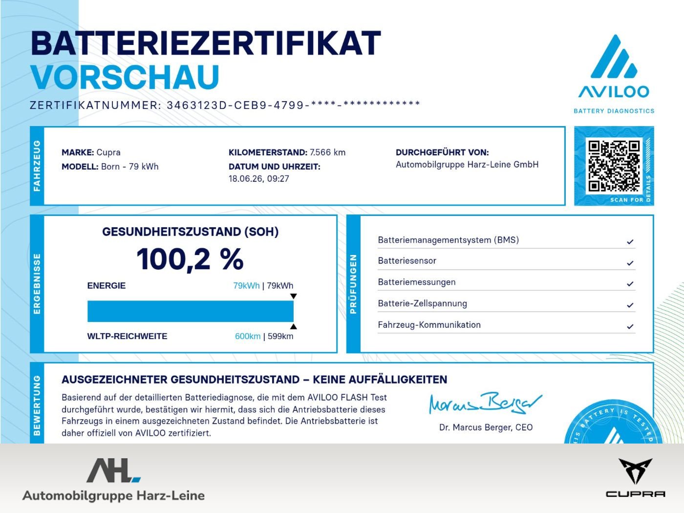 Born e-Boost Navi HuD ACC 360° Wärmepumpe 360 LM