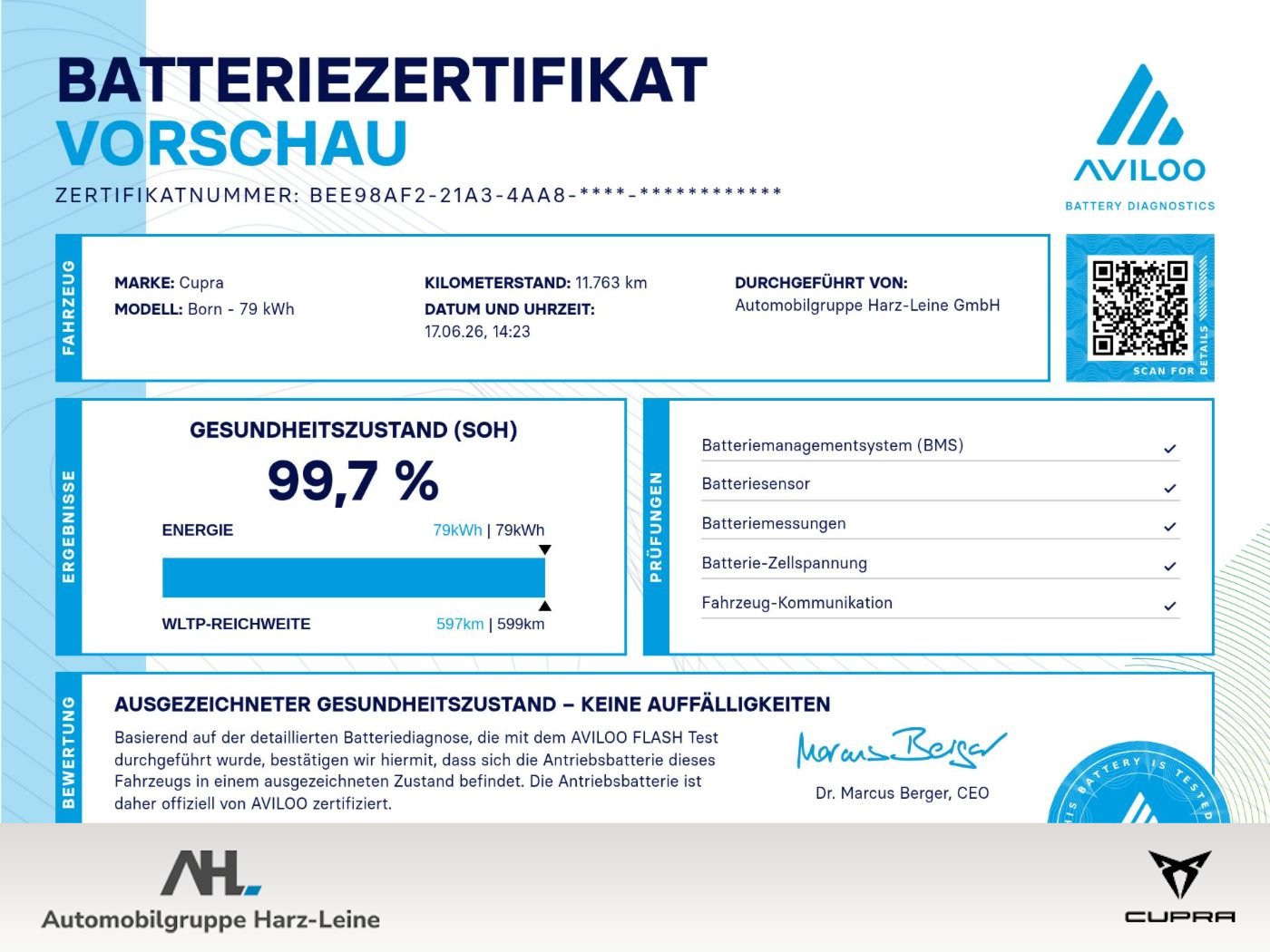 Born e-Boost Navi ACC HuD 360° Wärmepumpe 360 LM