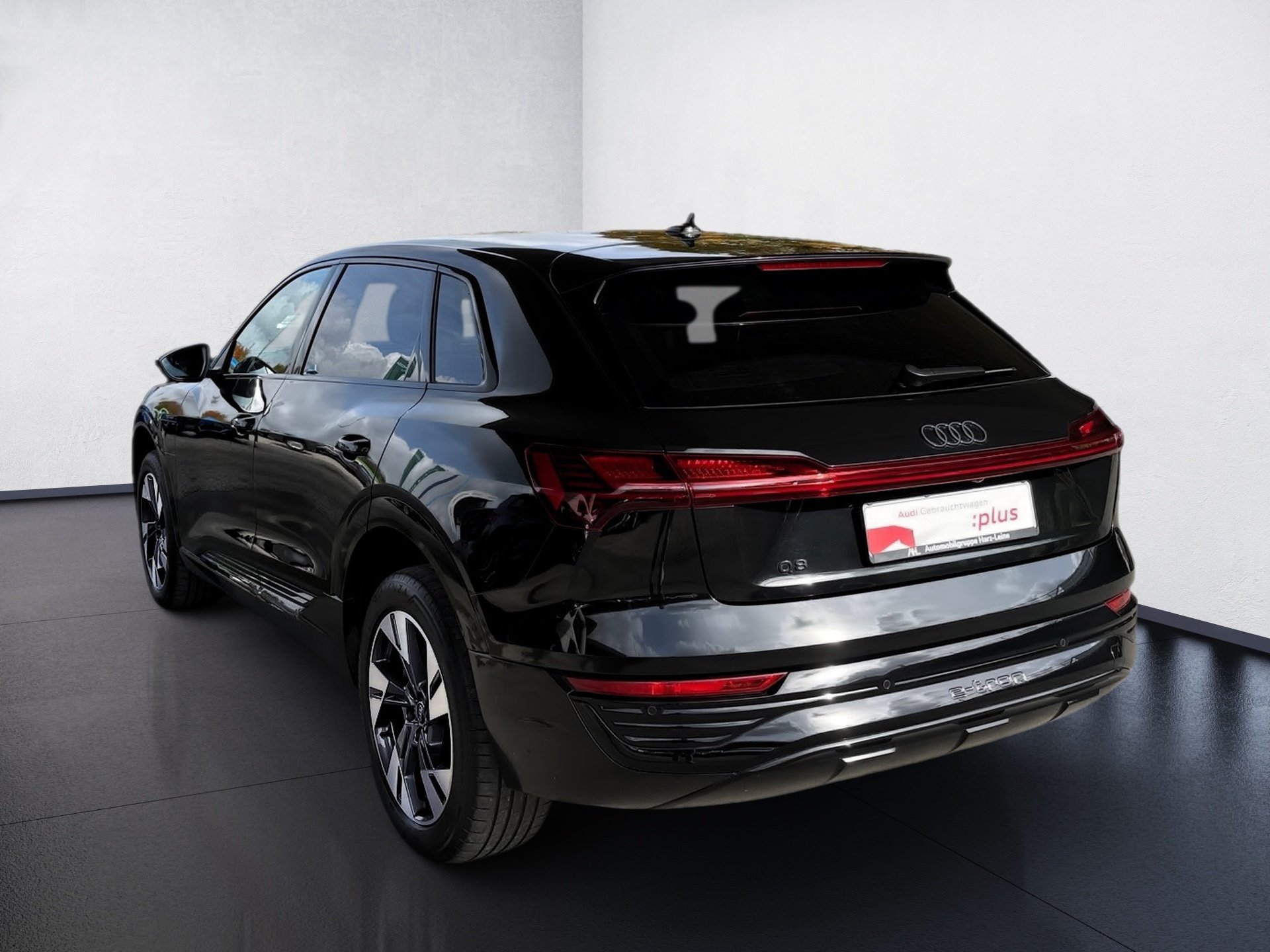 Q8 e-tron 50 advanced quattro Matrix Navi Luft