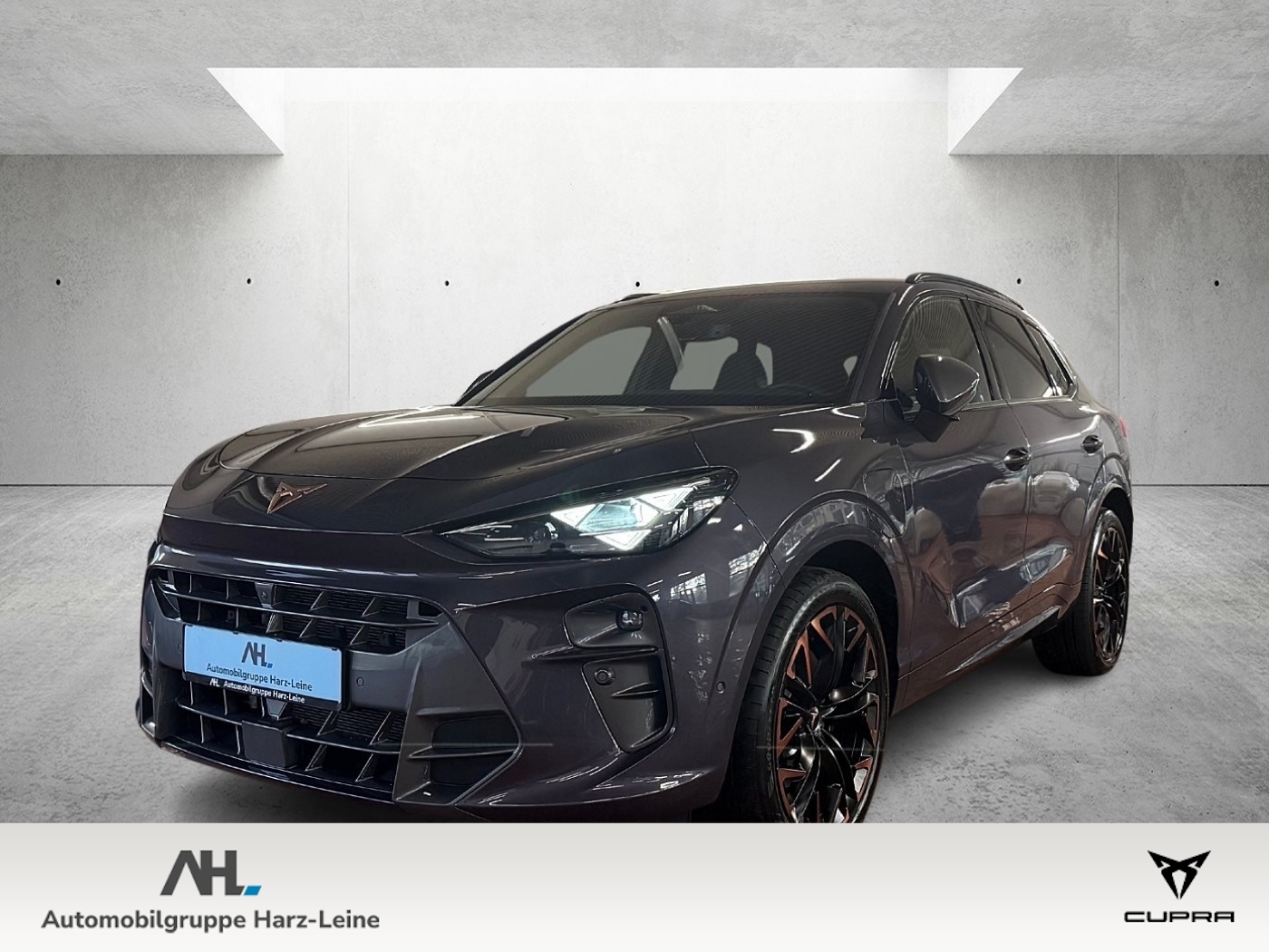 Terramar VZ 1.5 e-Hybrid DSG HD-Matrix Navi ACC HuD