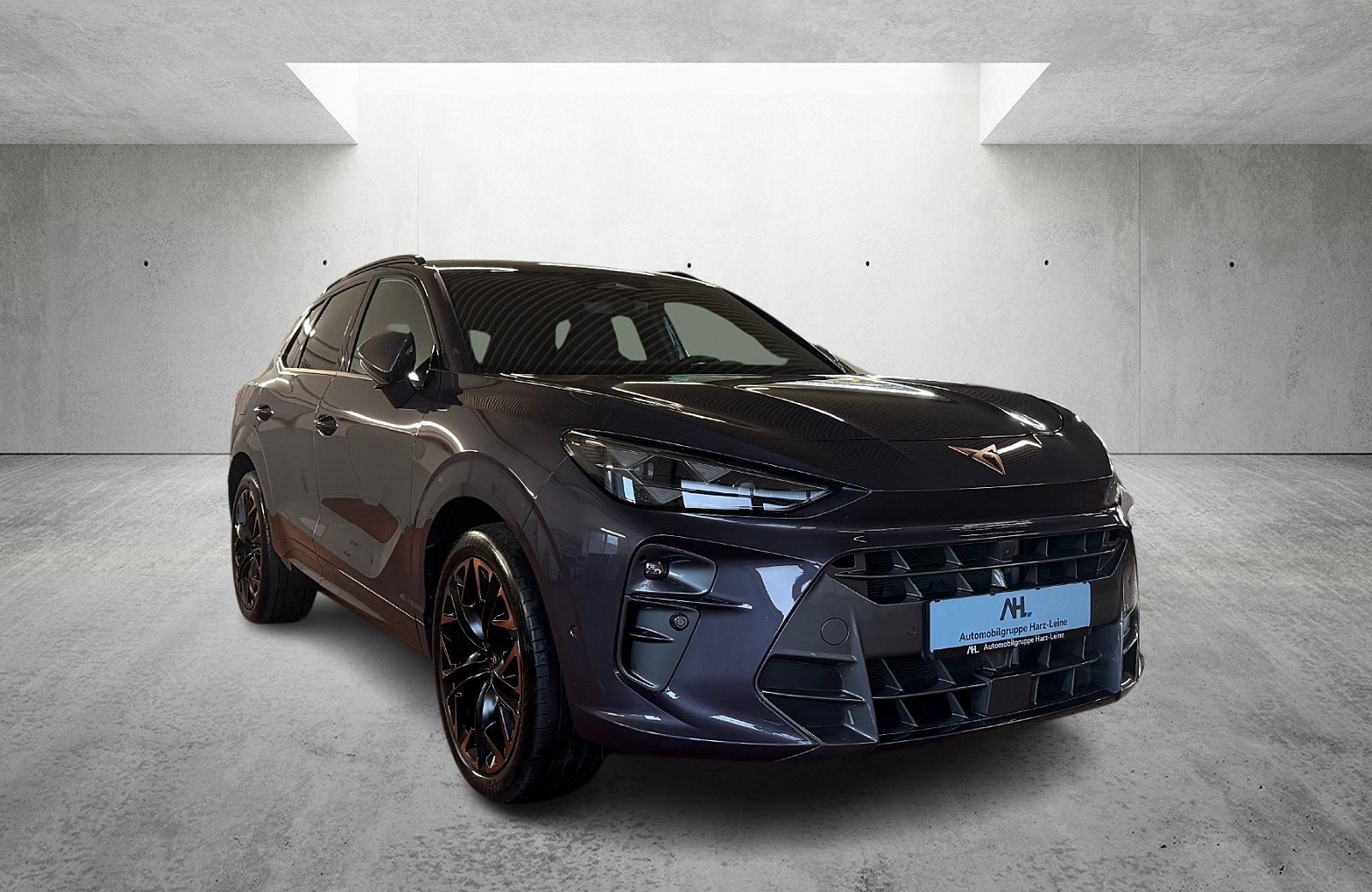 Terramar VZ 1.5 e-Hybrid DSG HD-Matrix Navi ACC HuD