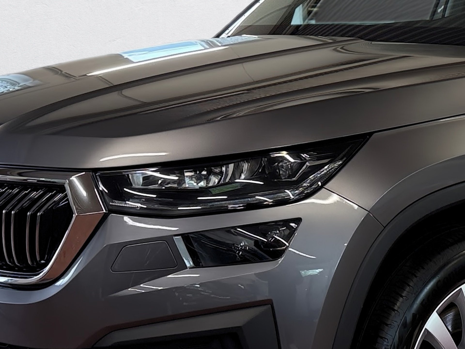 Kodiaq 2.0 TDI Style 4x4 DSG Matrix Navi ACC Standhzg.