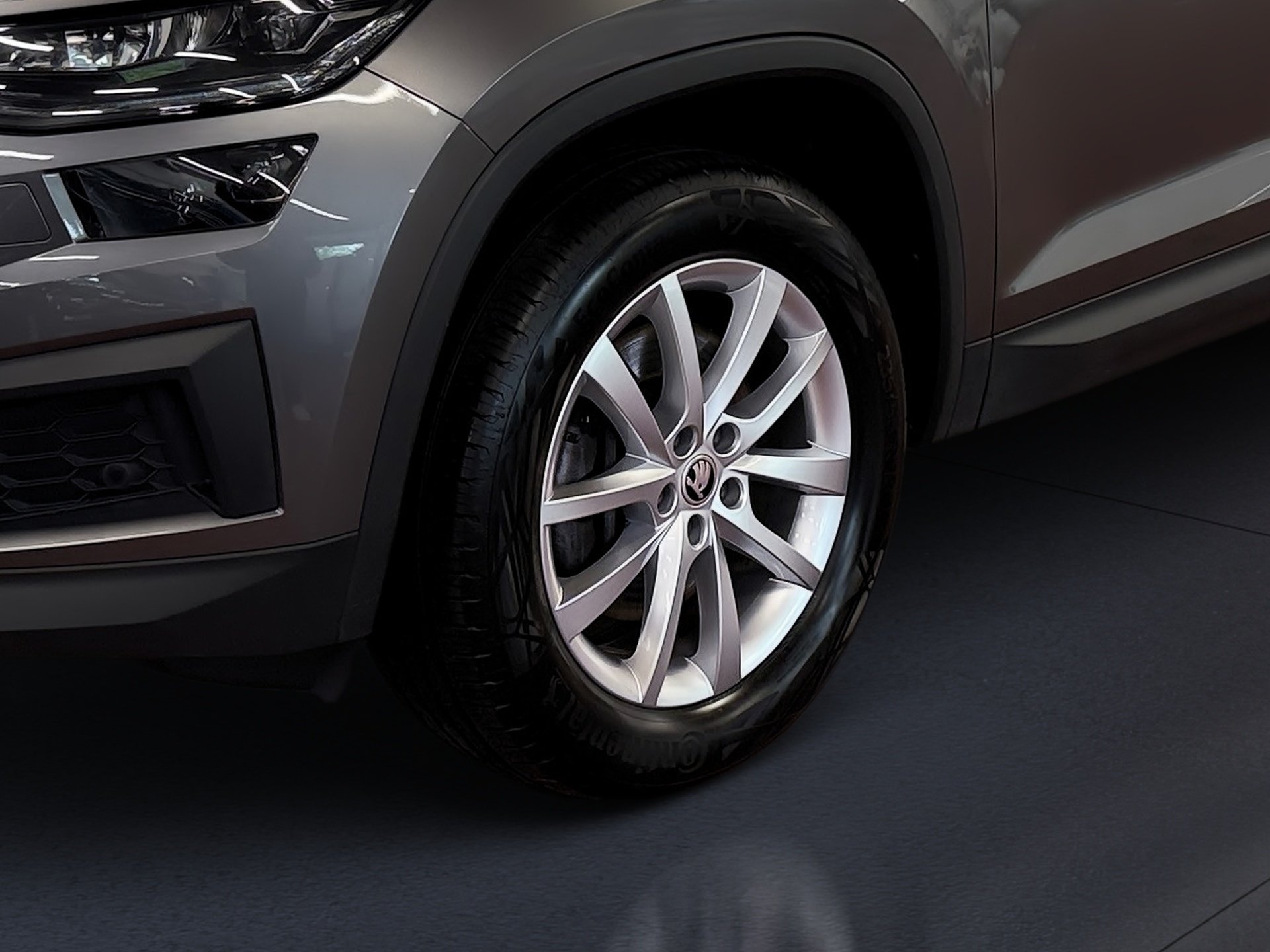 Kodiaq 2.0 TDI Style 4x4 DSG Matrix Navi ACC Standhzg.