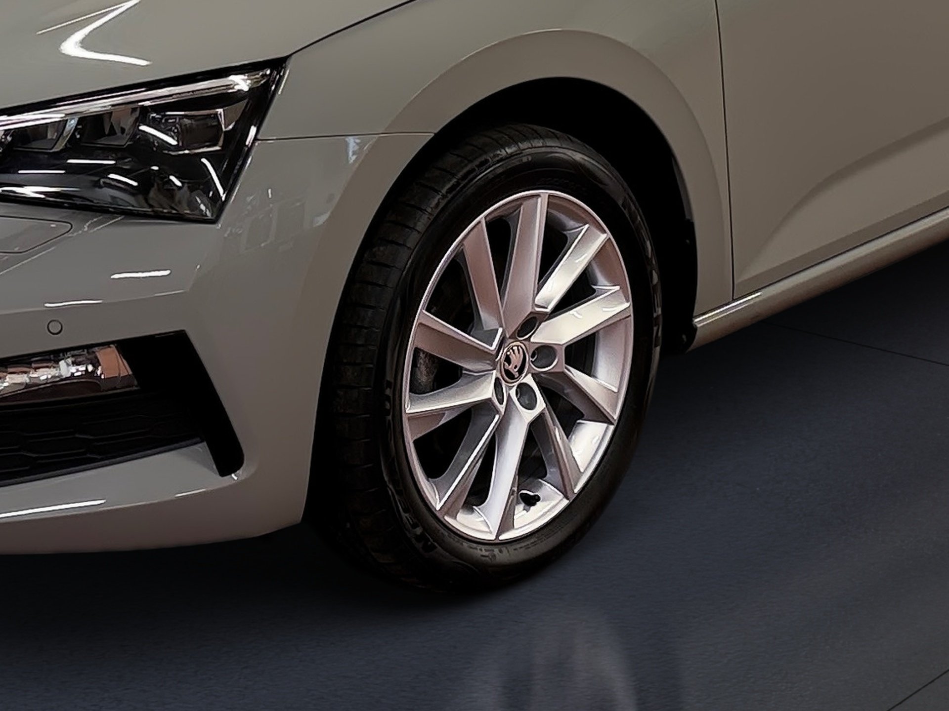 Scala 1.5 TSI Style AHK LED ACC PDC hinten SmartLink