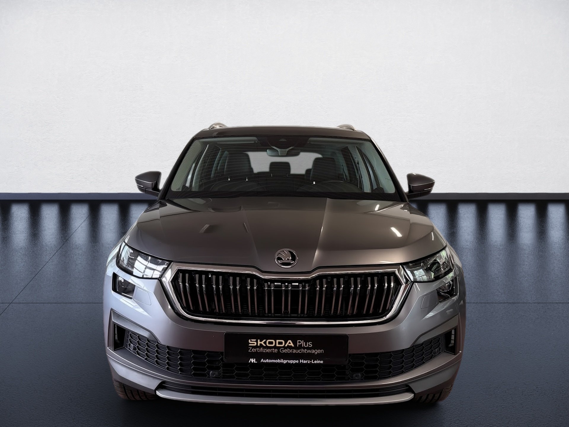 Kodiaq 2.0 TDI Style 4x4 DSG Matrix Navi ACC Standhzg.