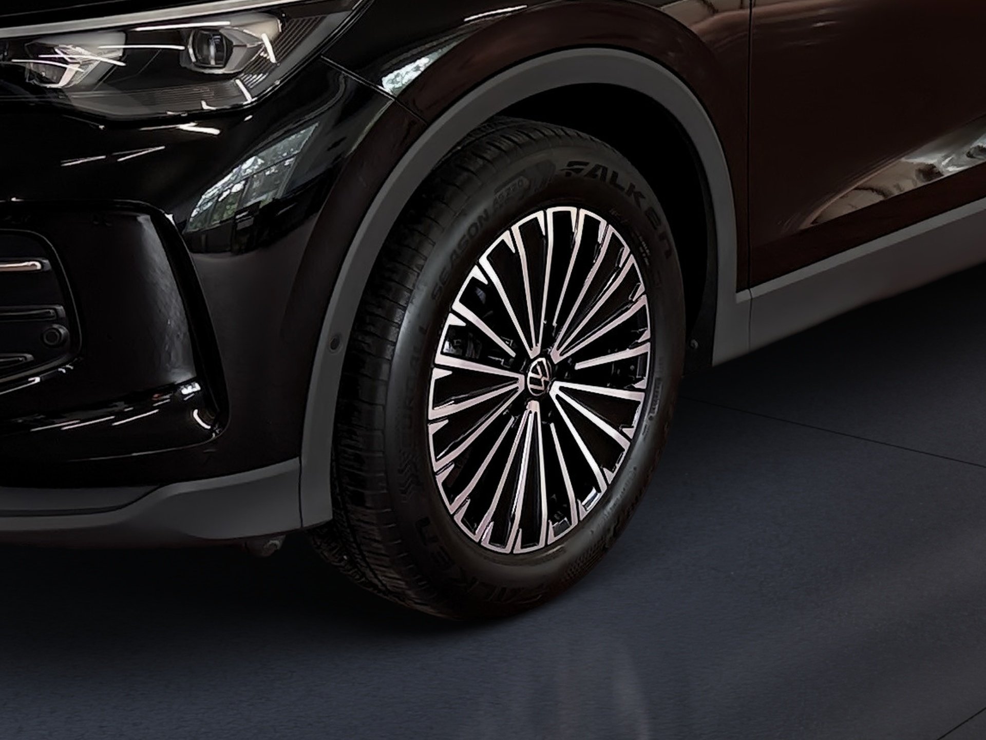 Tiguan 1.5 eTSI GOAL DSG HD-Matrix AHK Navi ACC AreaView