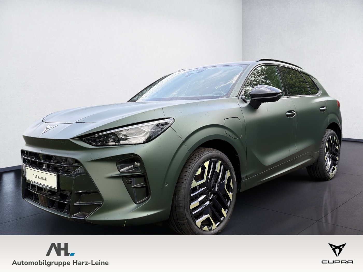 Terramar 1.5 e-Hybrid DSG *ab sofort*