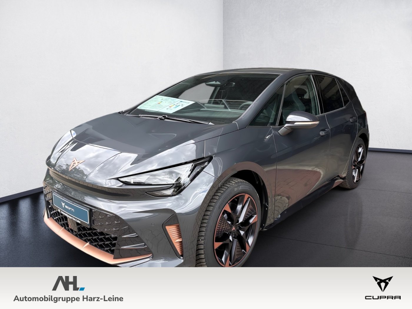 Born 140 (58kWh) ACC DynLicht Facelift Kam. LED