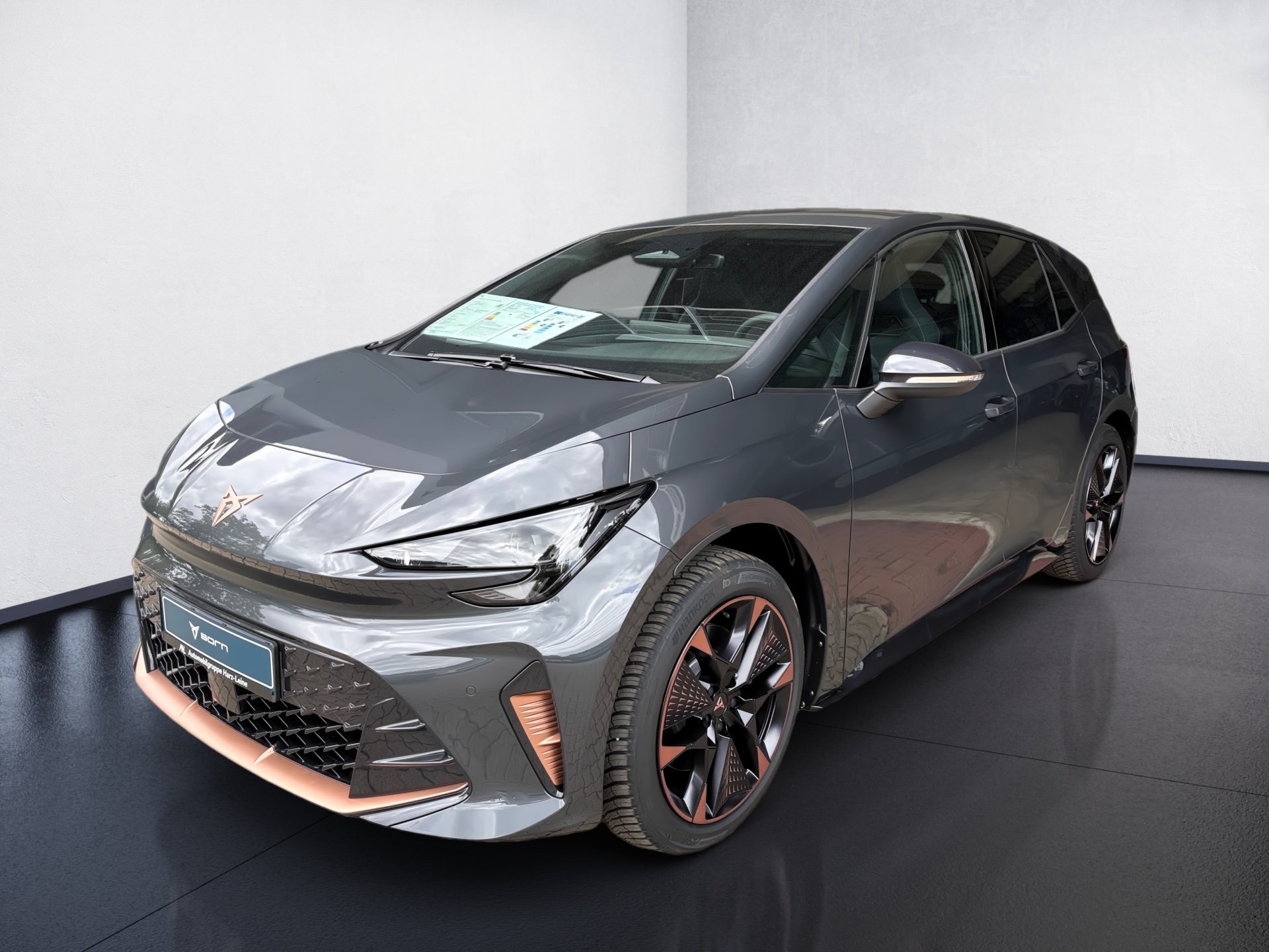Born 140 (58kWh) ACC DynLicht Facelift Kam. LED