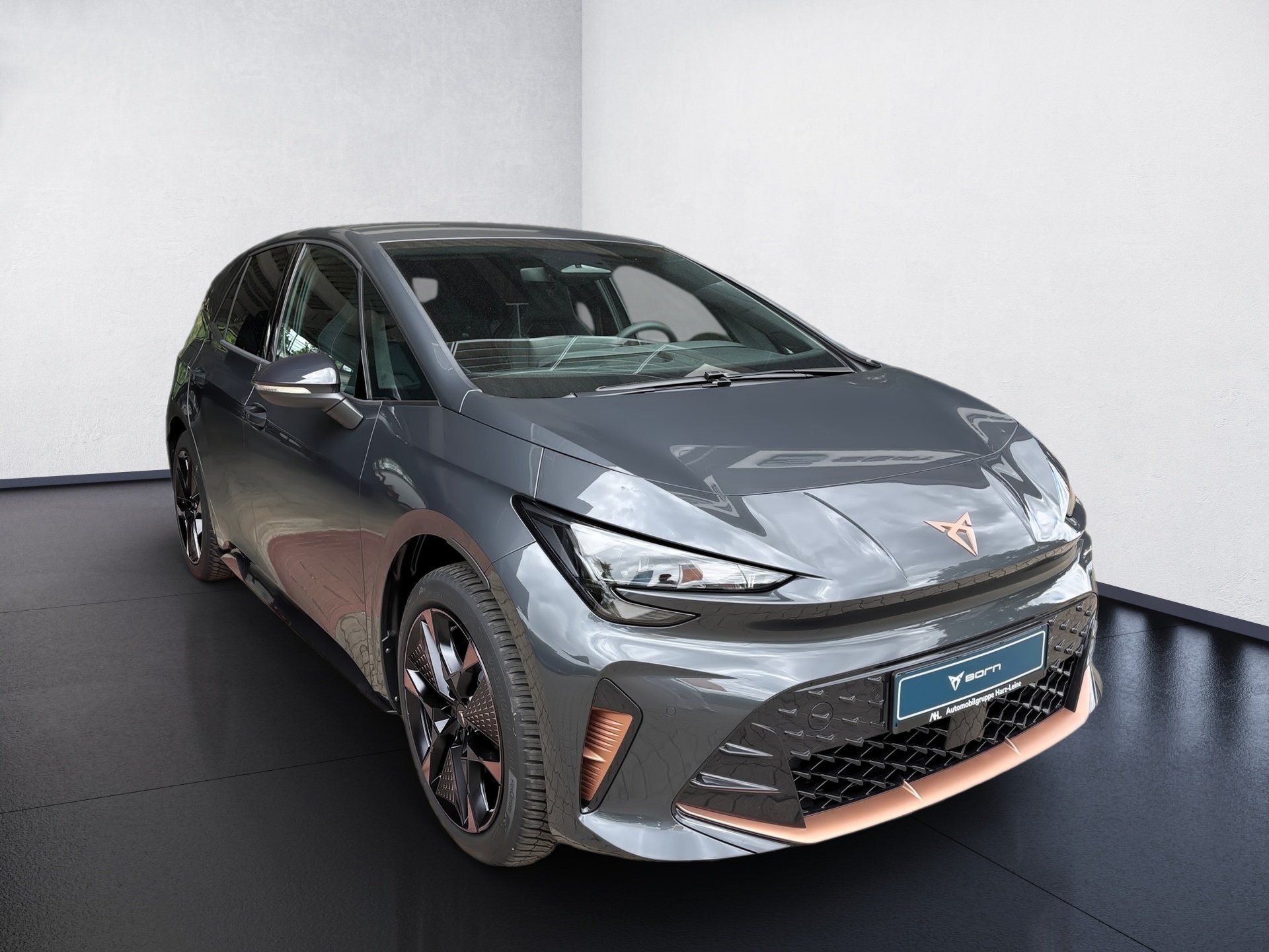 Born 140 (58kWh) ACC DynLicht Facelift Kam. LED