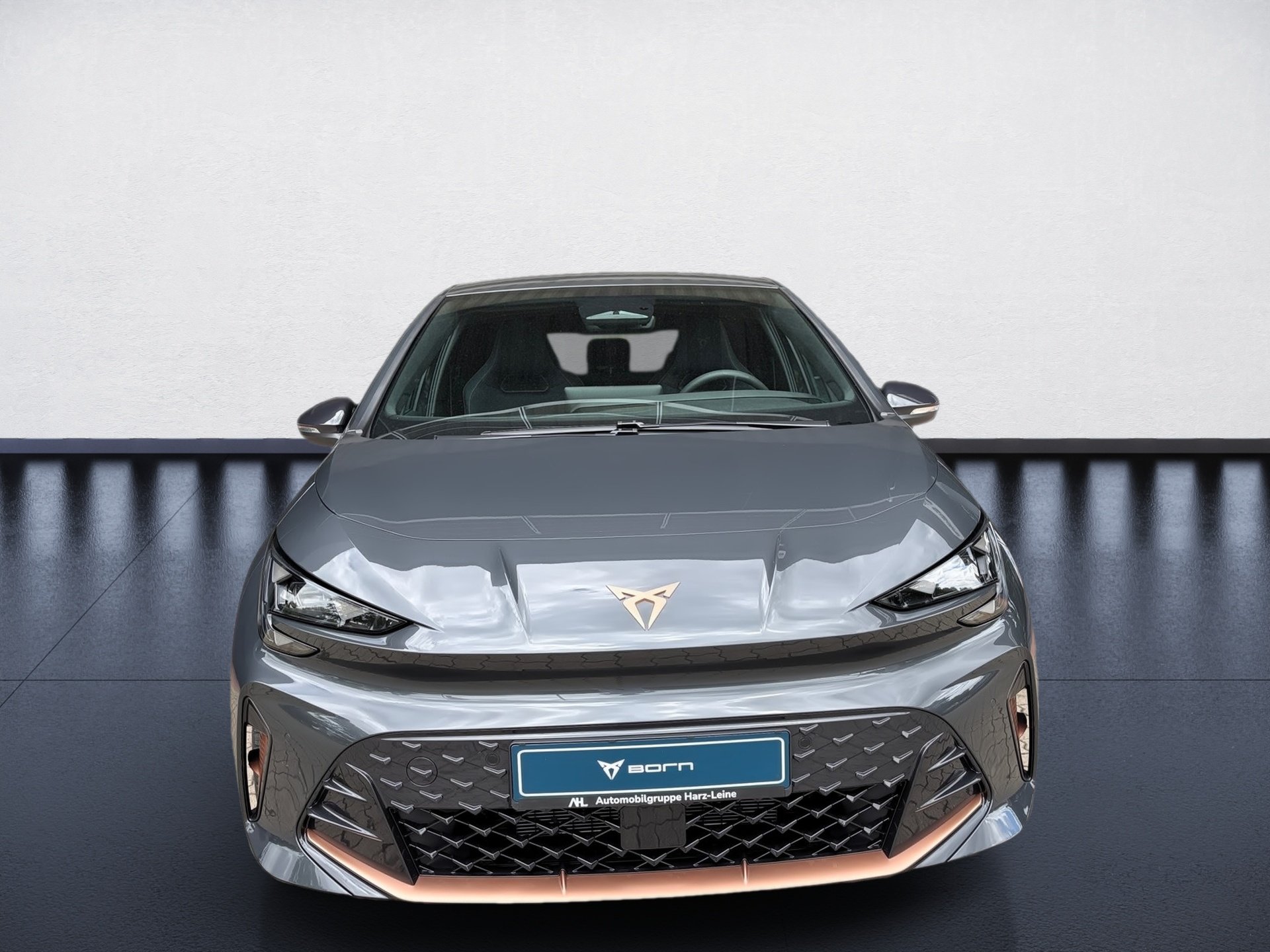 Born 140 (58kWh) ACC DynLicht Facelift Kam. LED