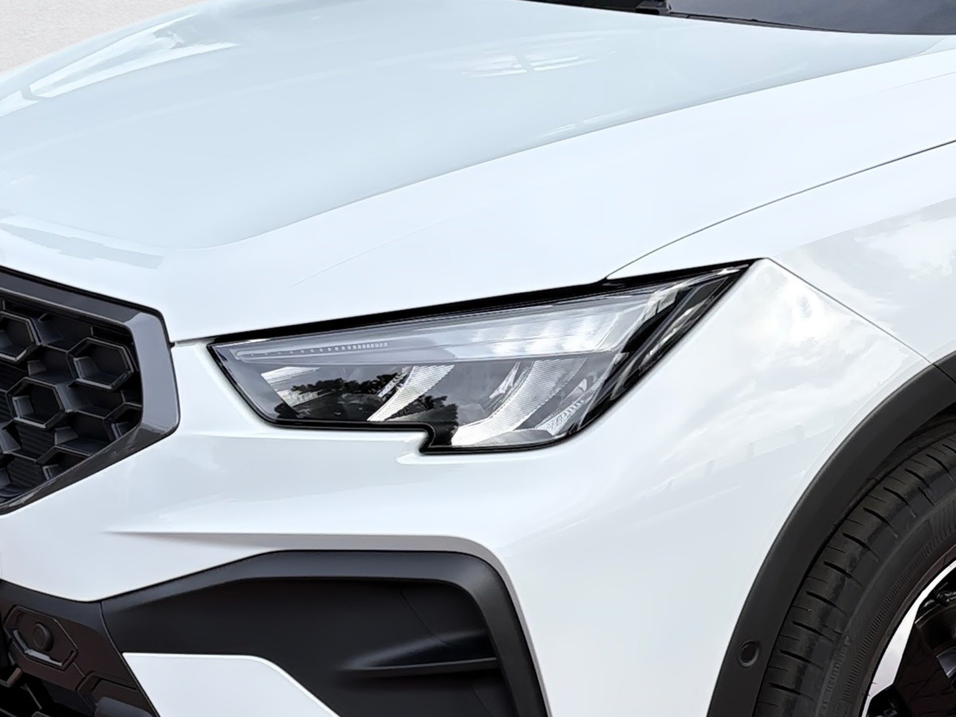 Arona 1.0 TSI 85 kW Style ACC AUT DynLicht Kam.